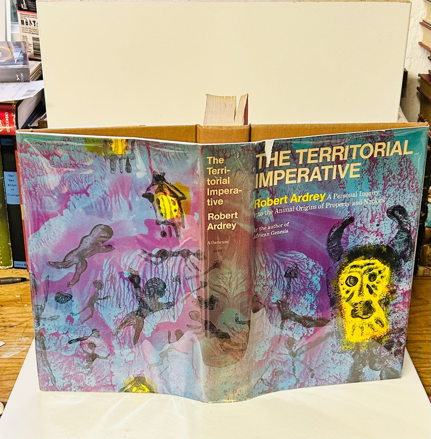 The Territorial Imperative