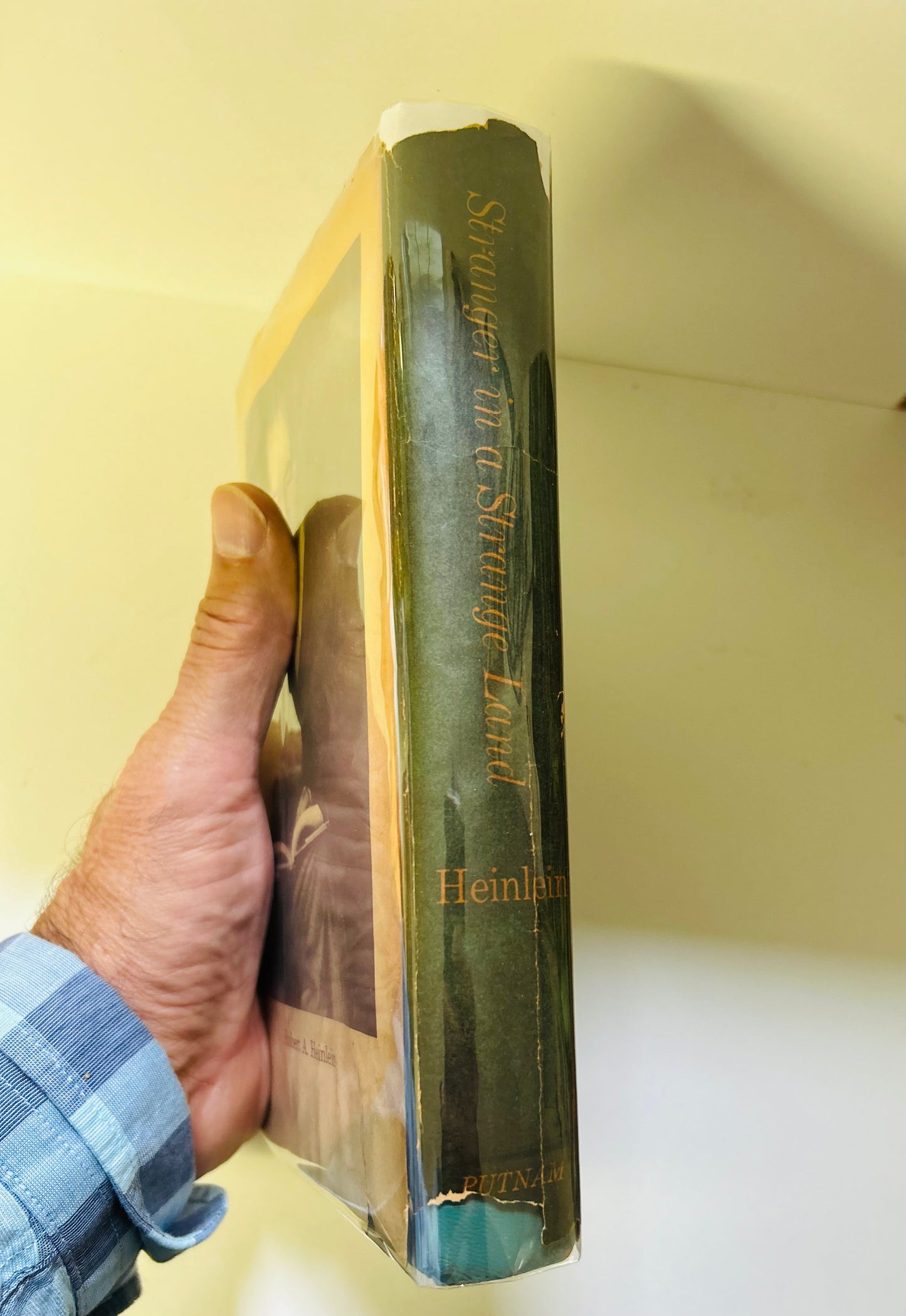 Stranger in a Strange Land