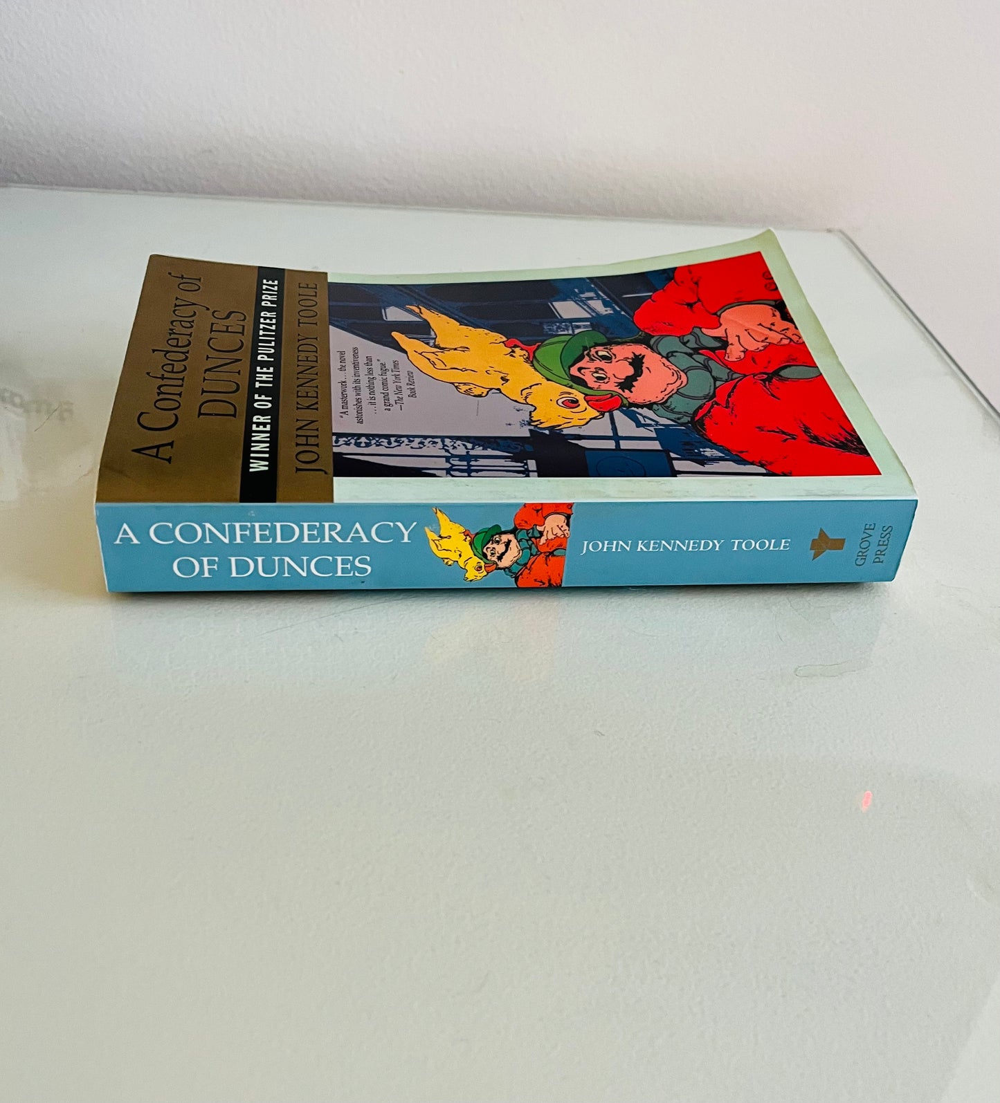 A Confederacy of Dunces