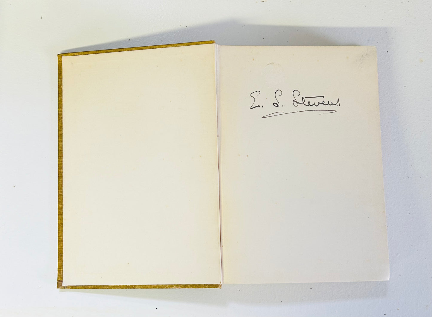 A Book About Fans