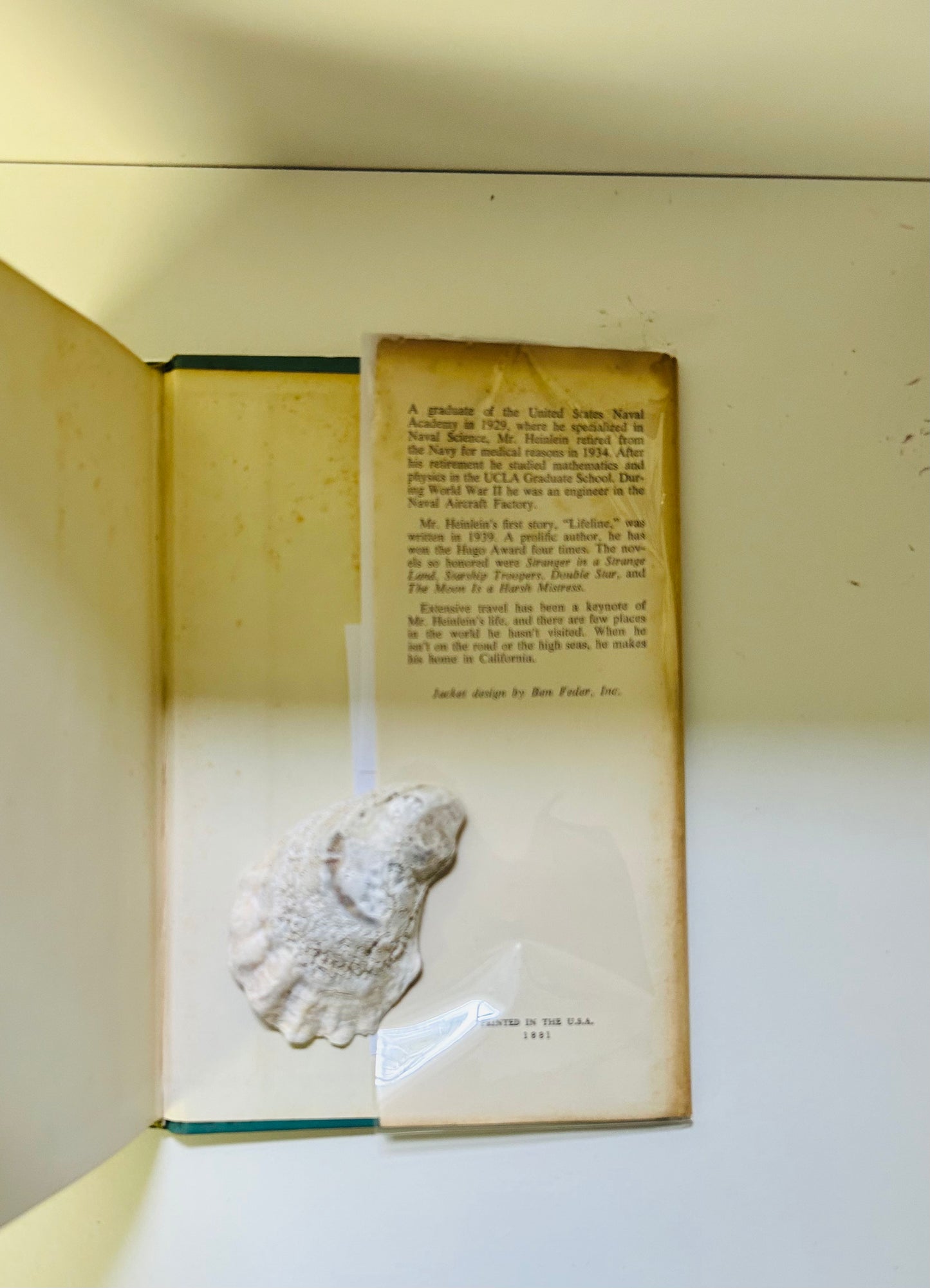 Stranger in a Strange Land