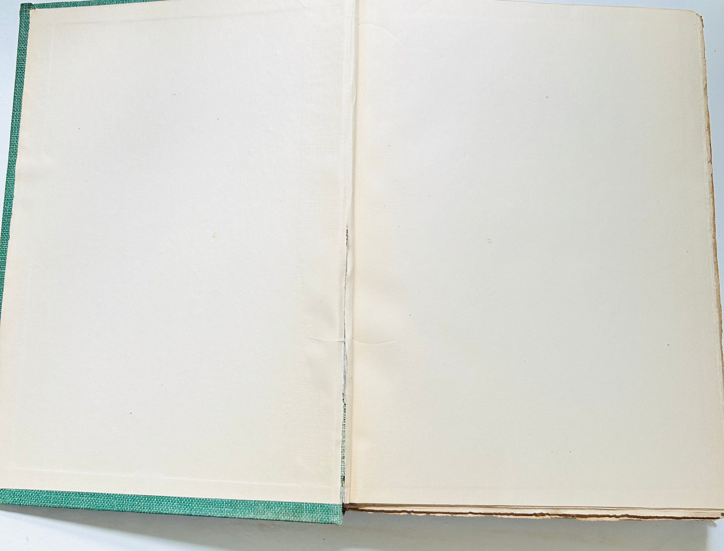 The Bibliophile Library of Literature Art and Rare Manuscripts