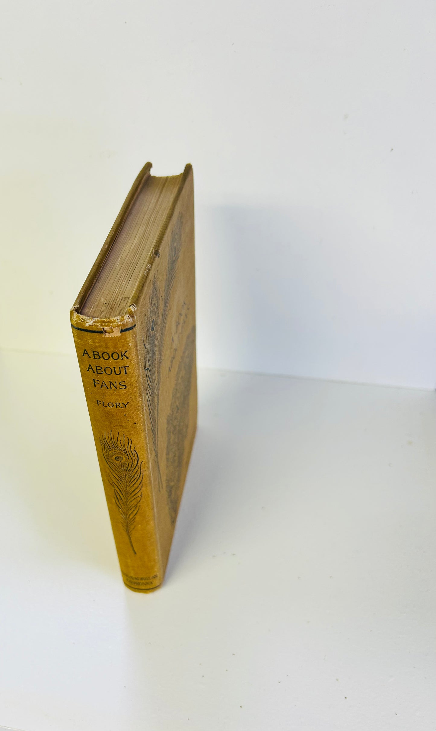 A Book About Fans
