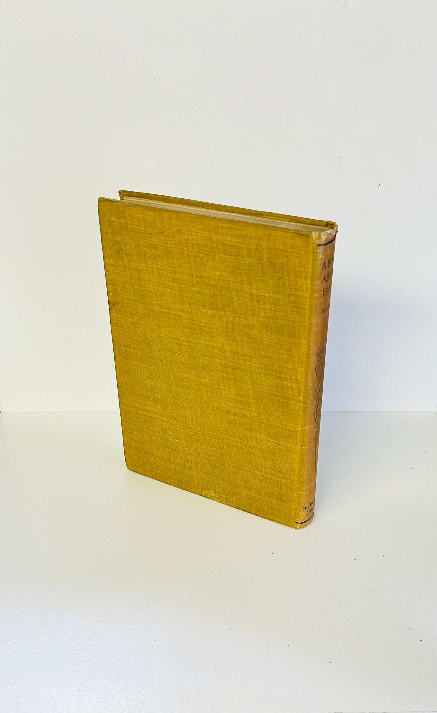 A Book About Fans