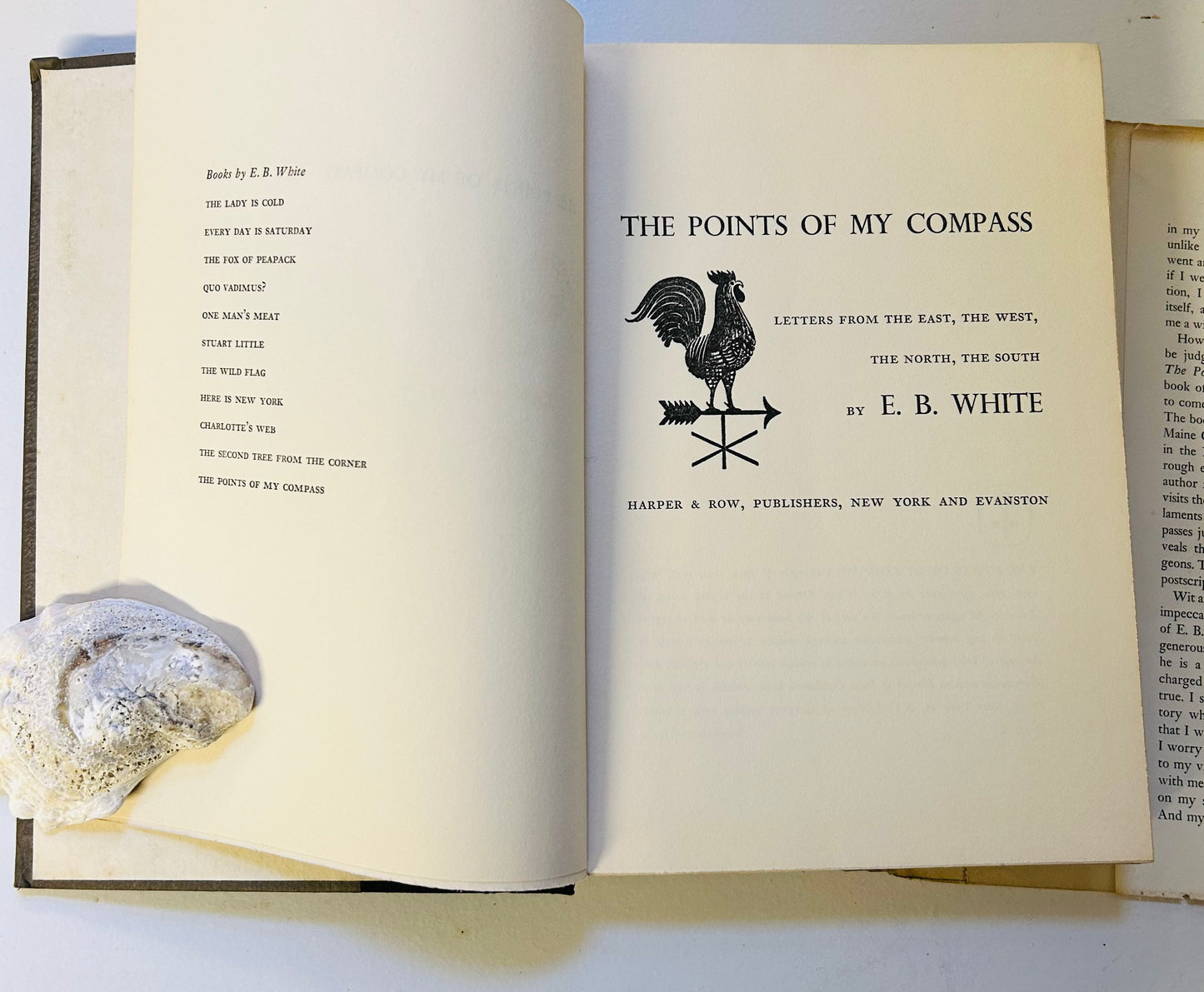 The Points of my Compass