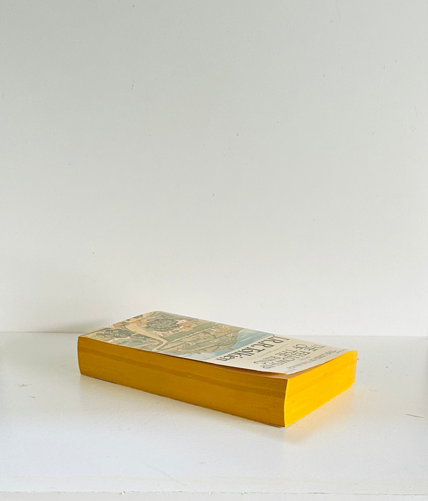 The Fellowship of the Ring