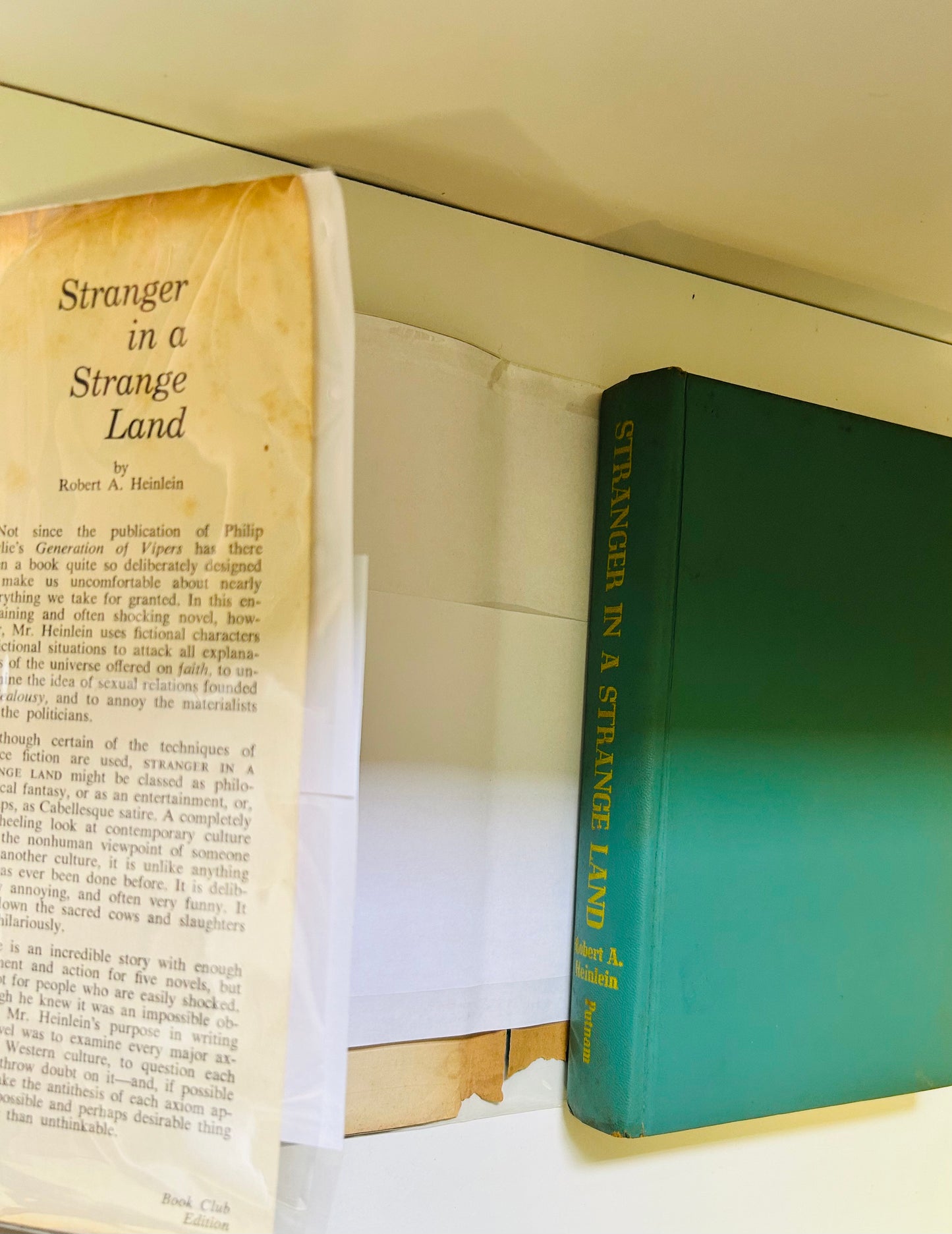 Stranger in a Strange Land