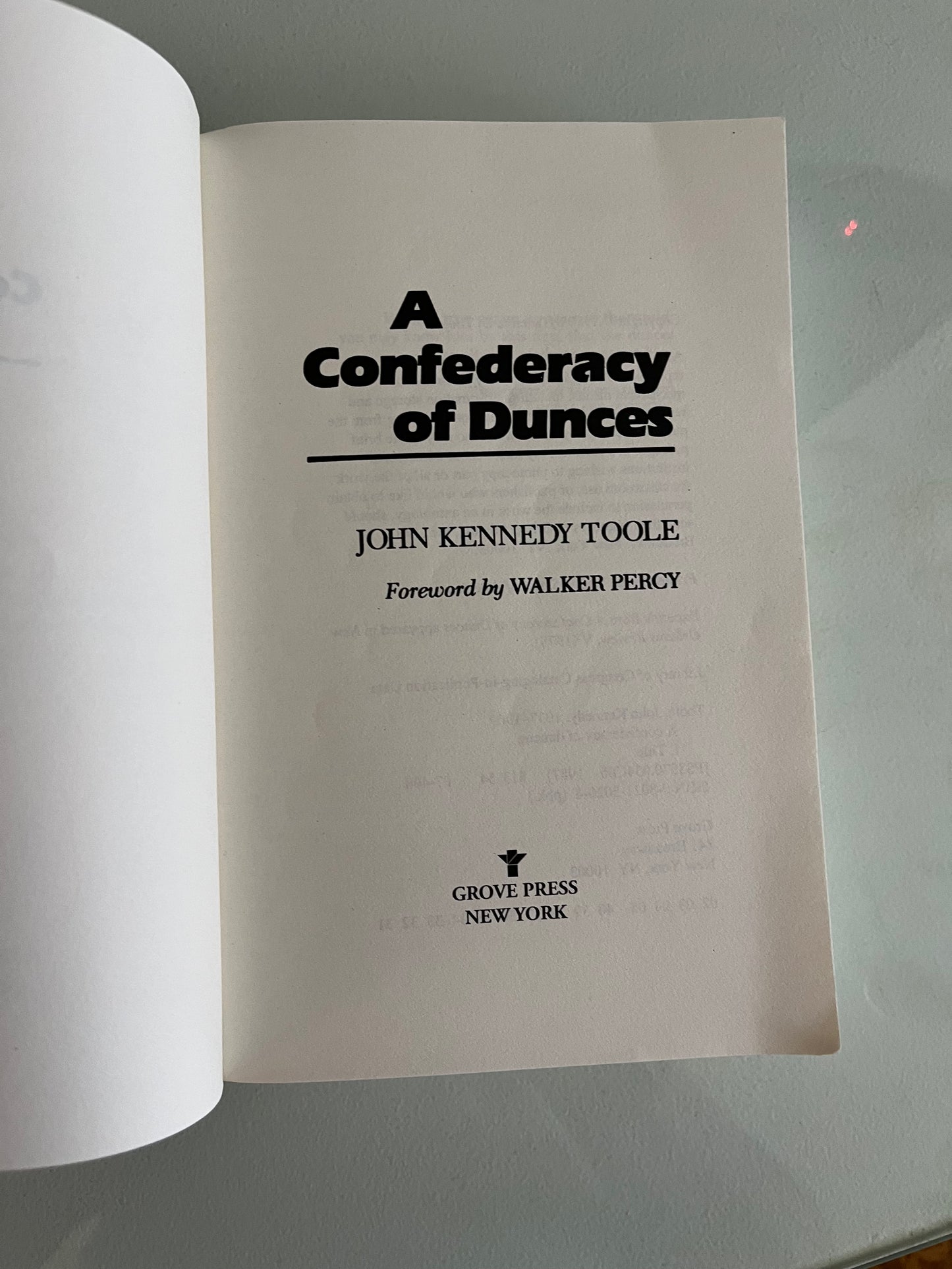 A Confederacy of Dunces