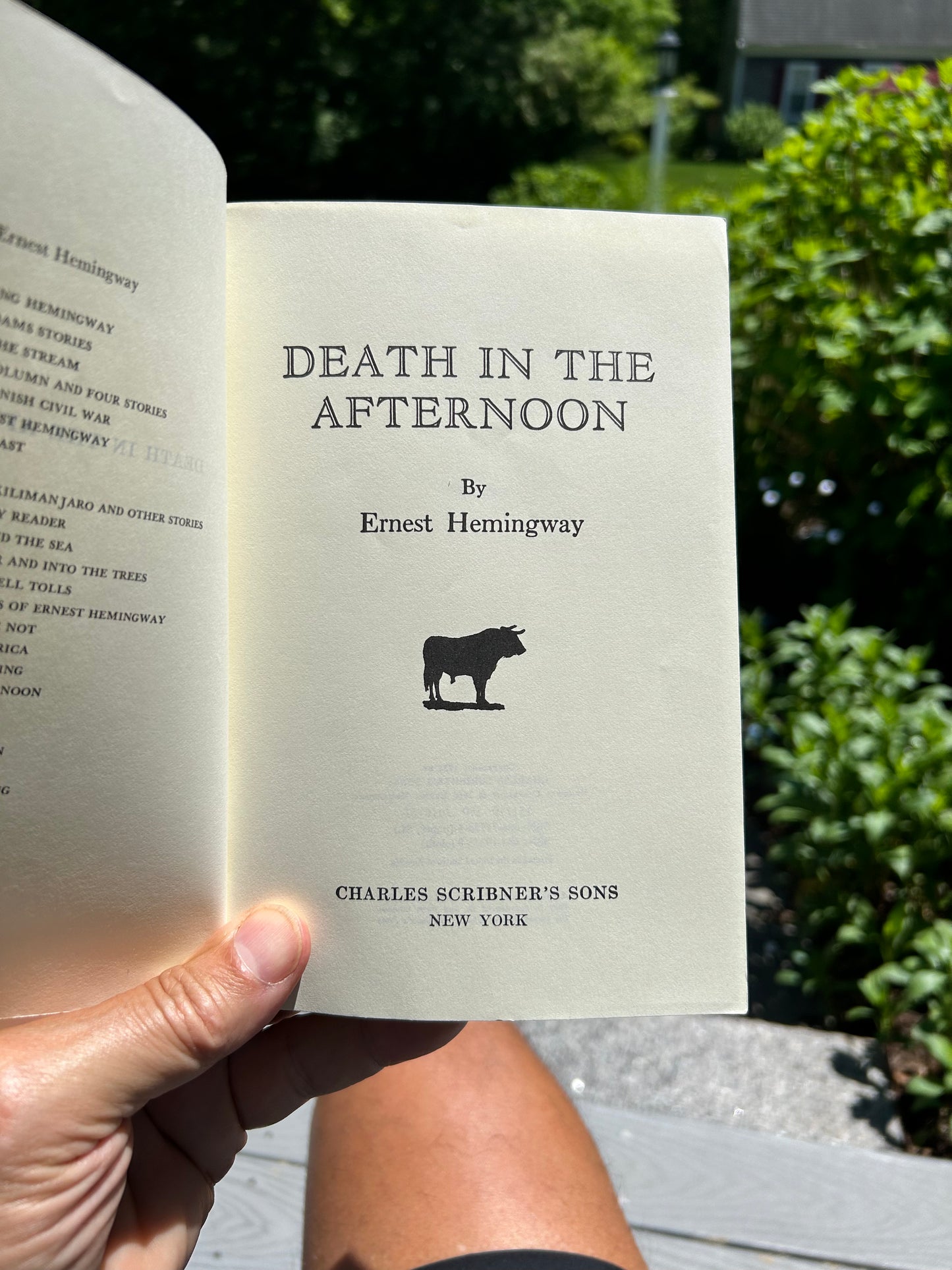 Death in the Afternoon