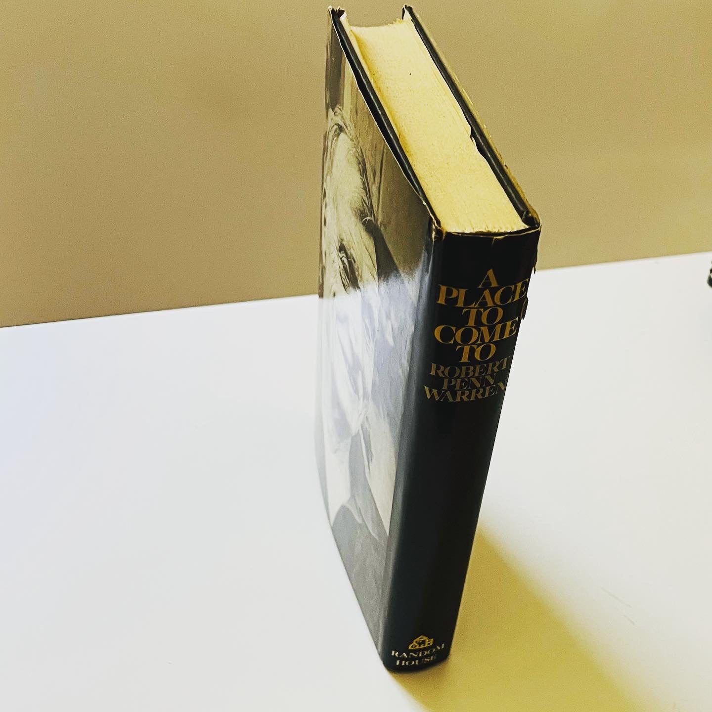 A Place to Come to - Burning Tree Books