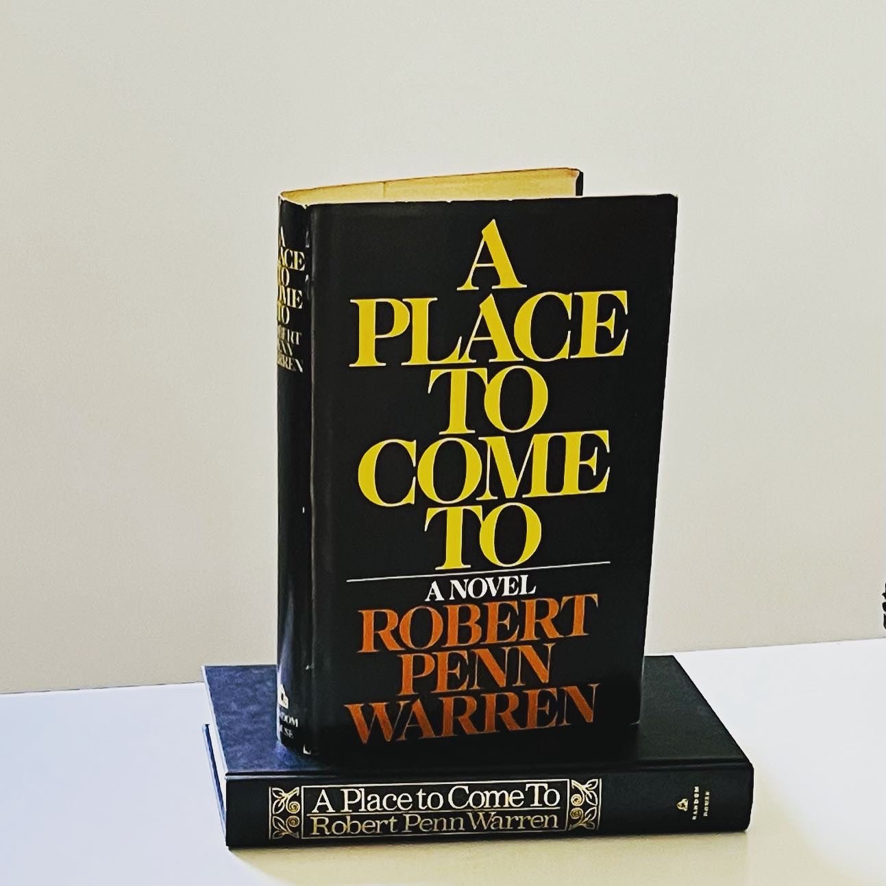 A Place to Come to - Burning Tree Books