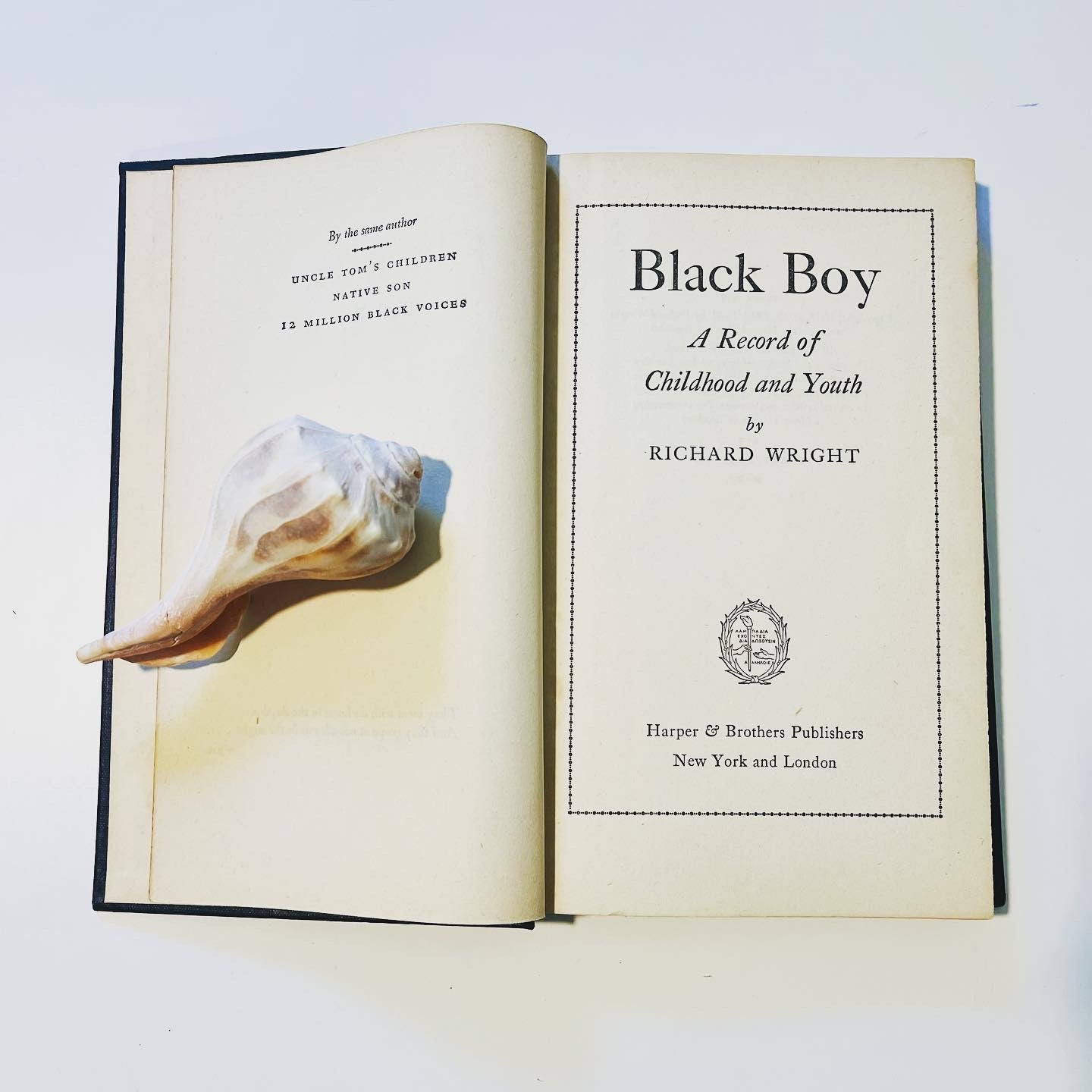 Black Boy - Burning Tree Books