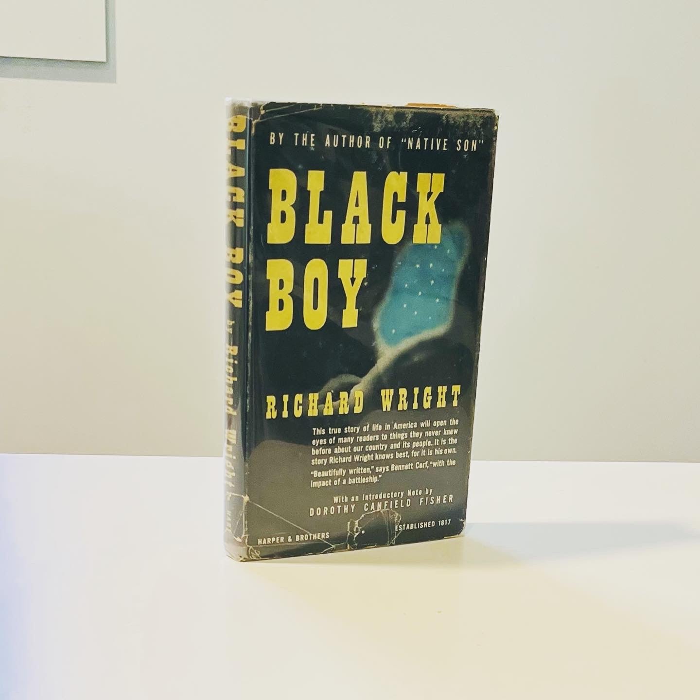 Black Boy - Burning Tree Books