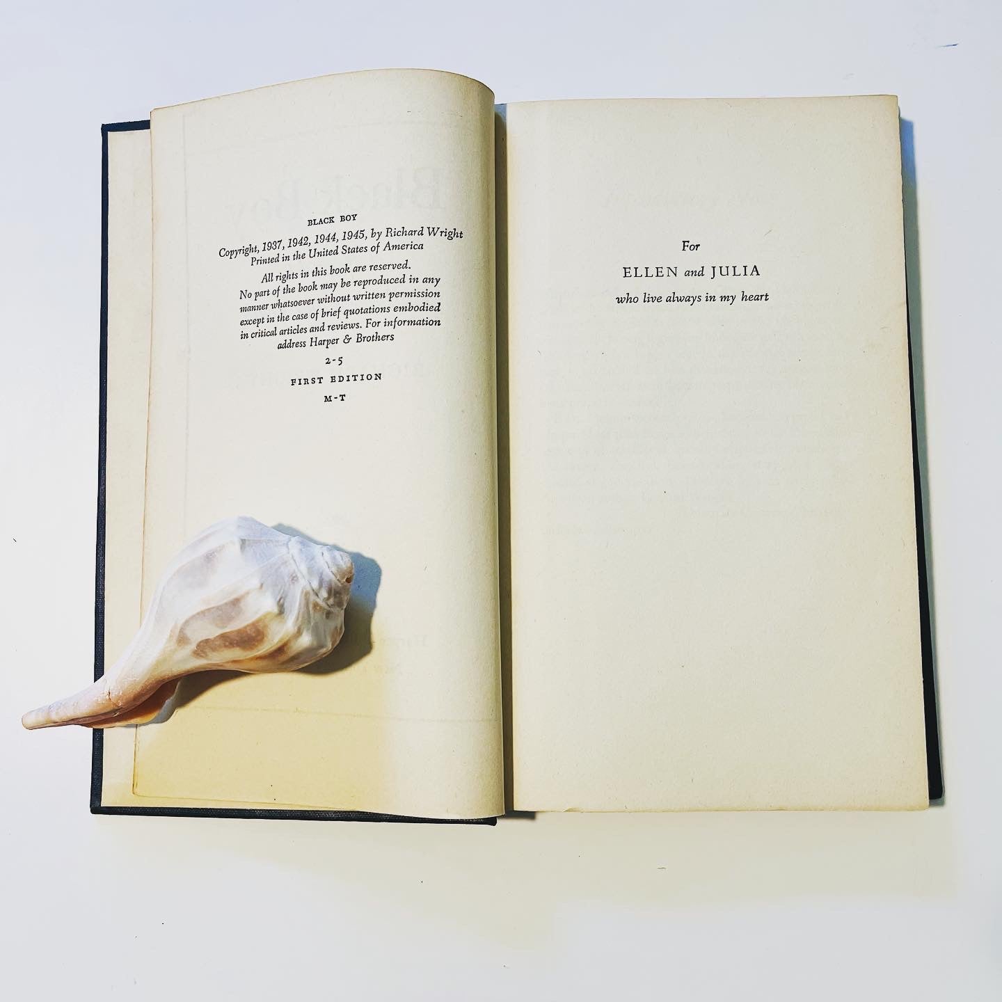 Black Boy - Burning Tree Books