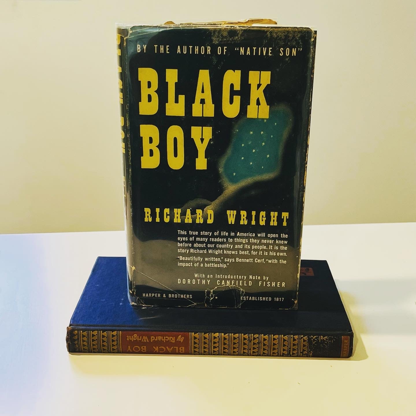 Black Boy - Burning Tree Books
