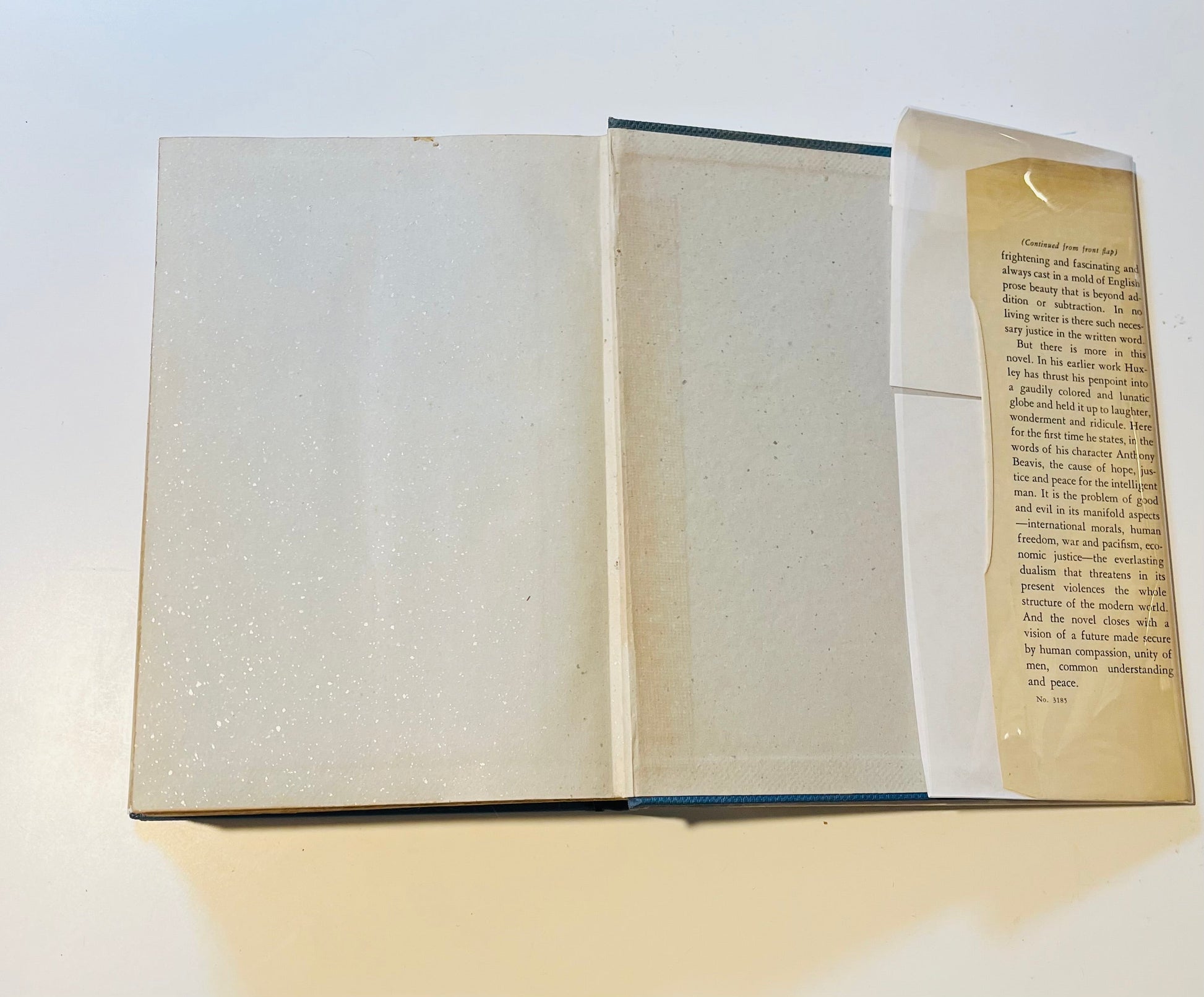 Eyeless in Gaza - Burning Tree Books