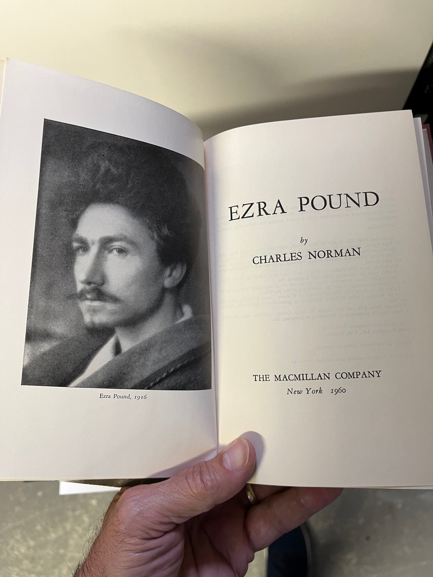 Ezra Pound - Burning Tree Books