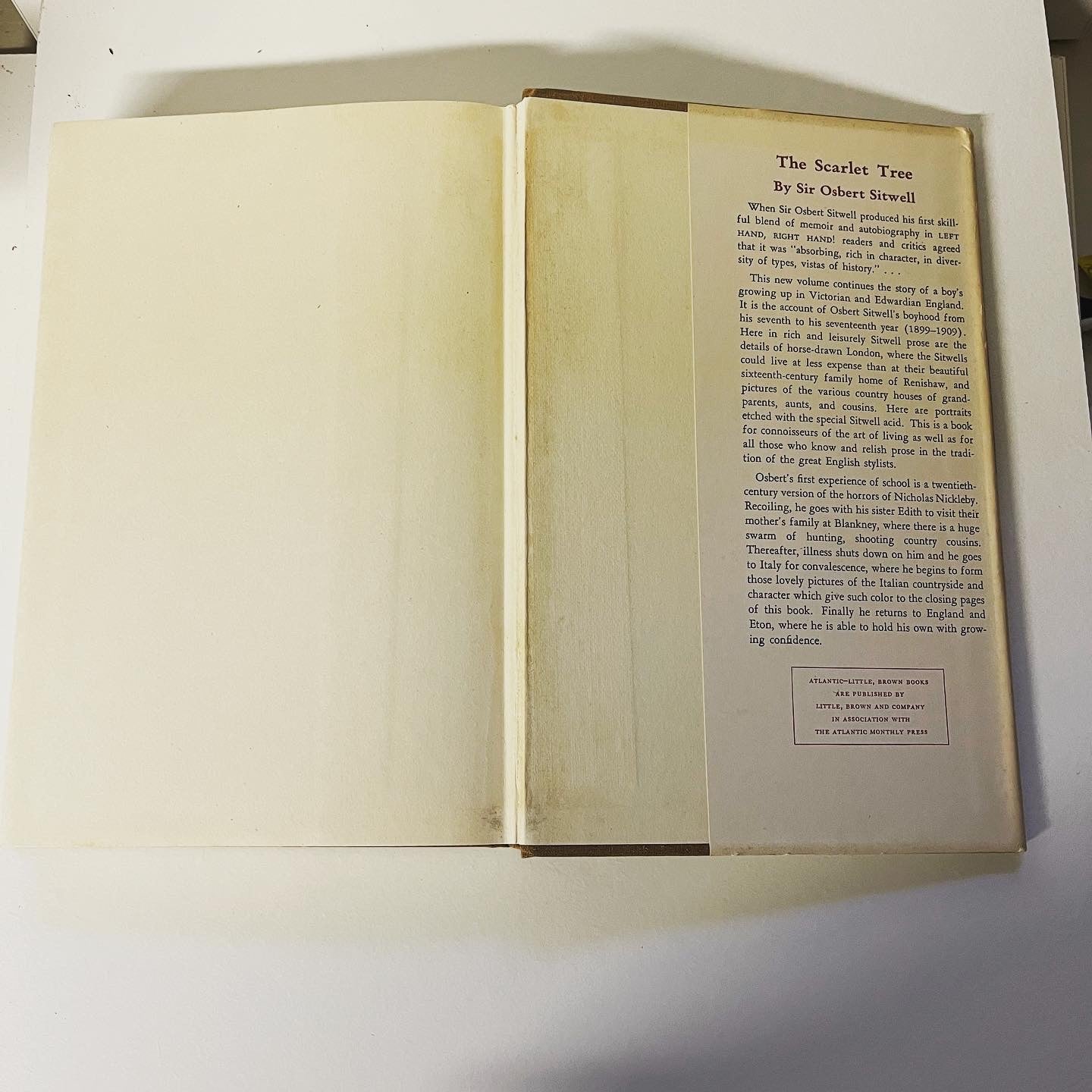 Great Morning! - Burning Tree Books