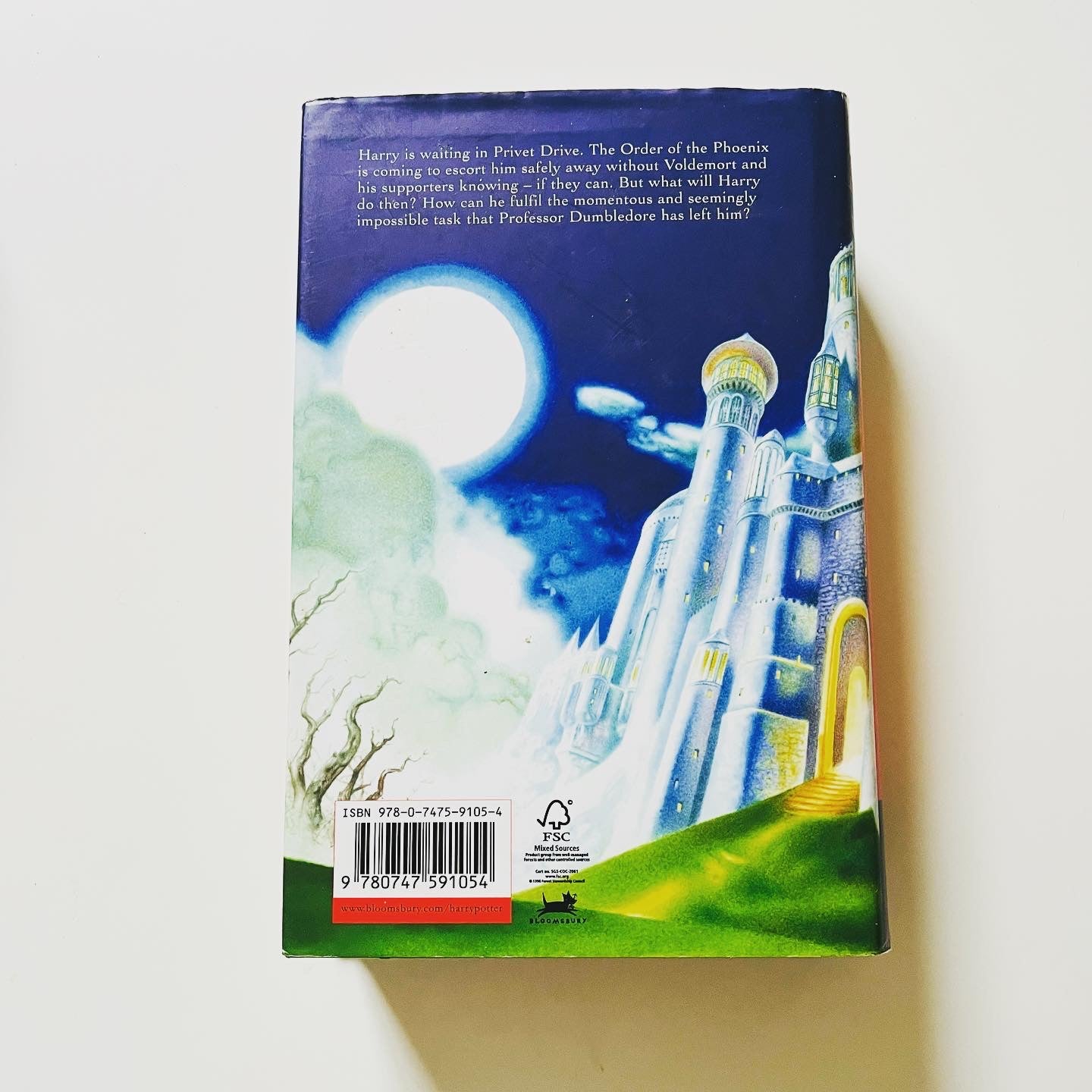 Harry Potter and the Deathly Hallows - Burning Tree Books