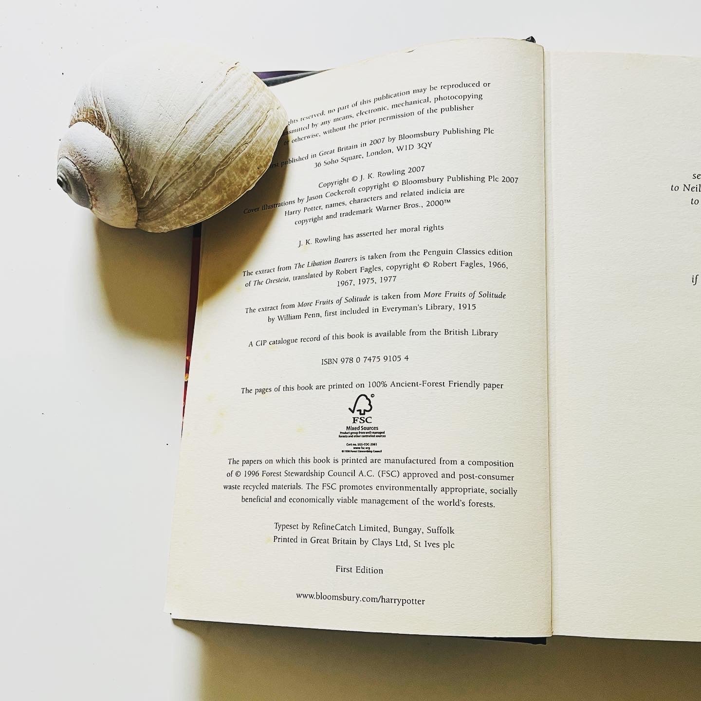 Harry Potter and the Deathly Hallows - Burning Tree Books