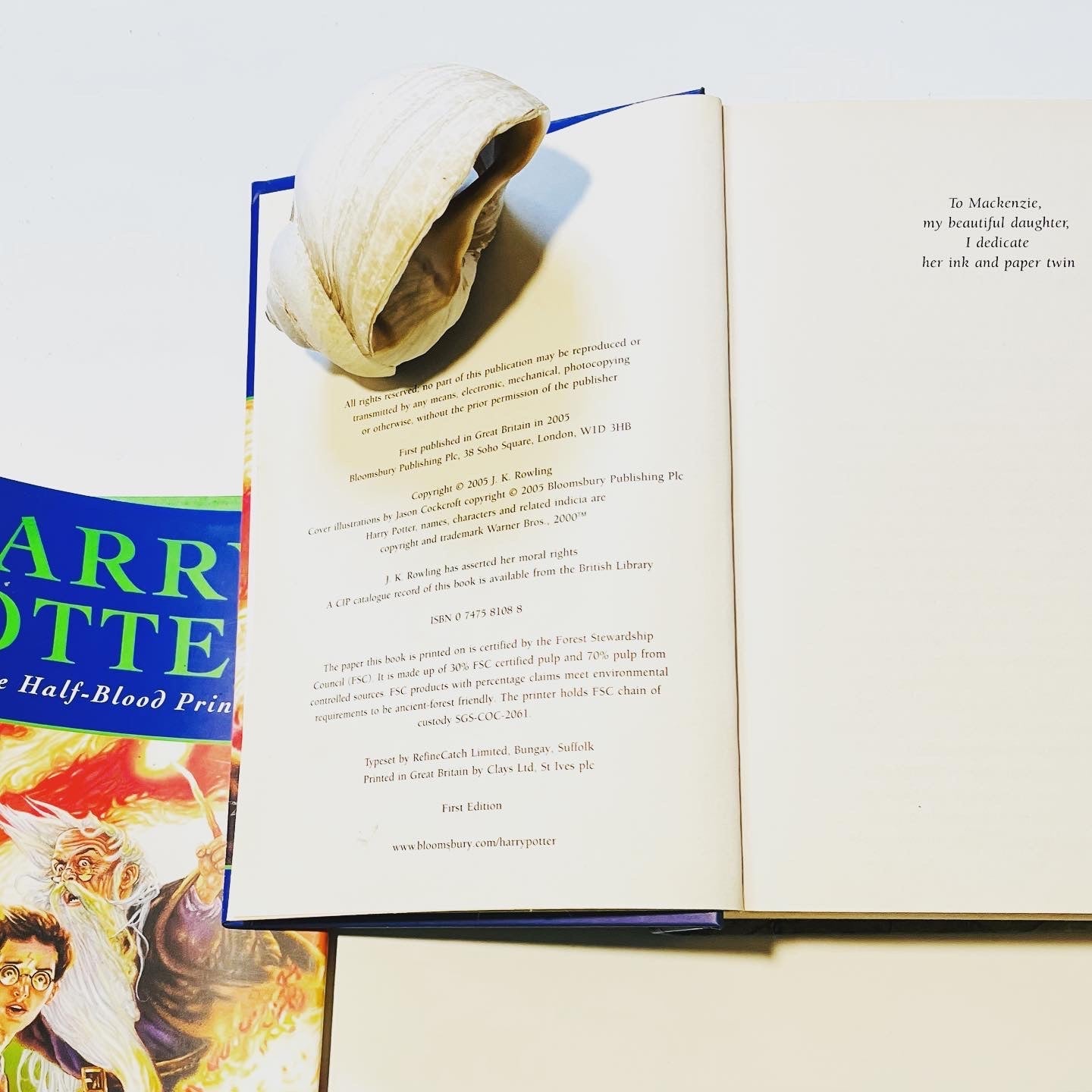 Harry Potter and the Half - Blood Prince - Burning Tree Books