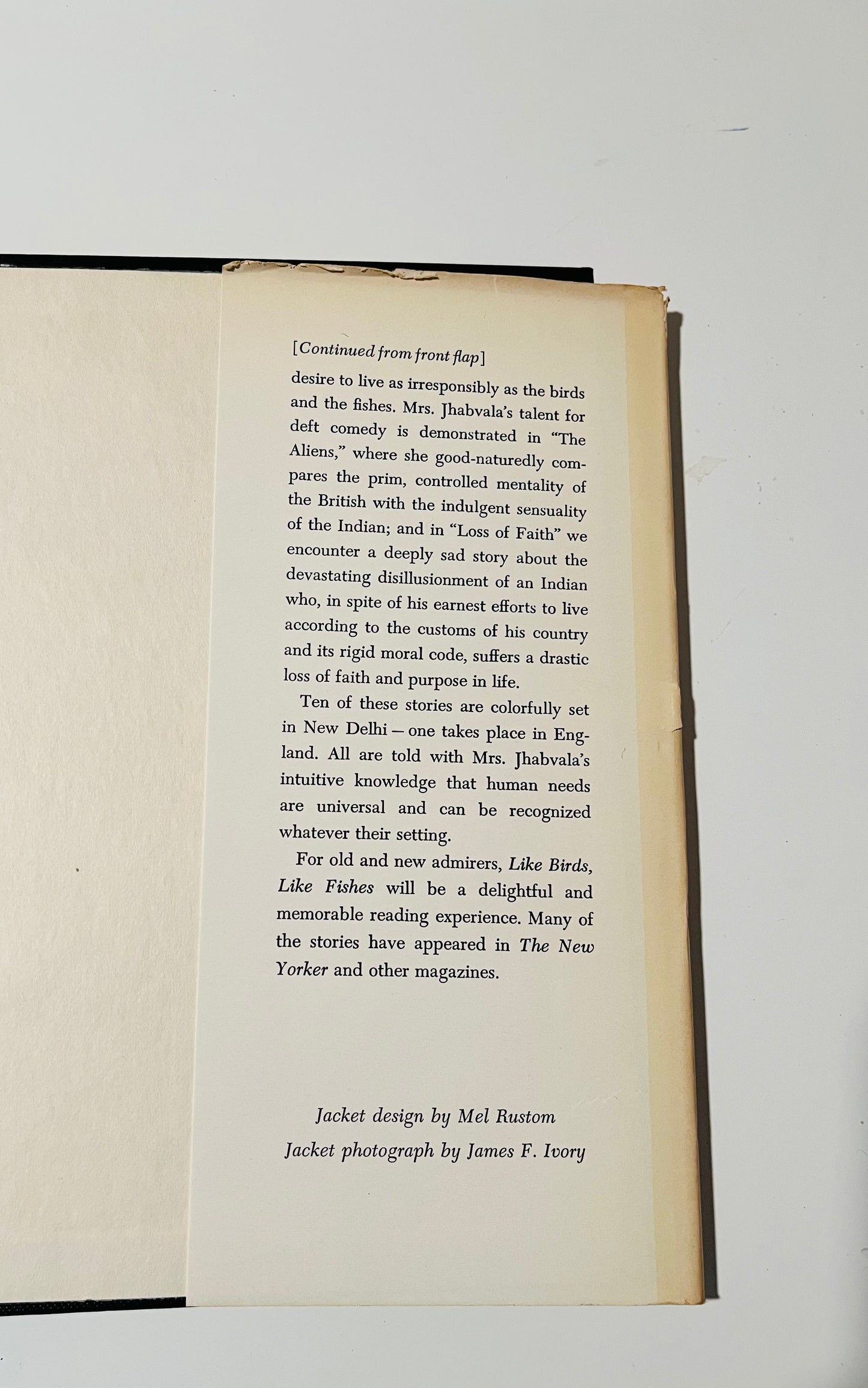 Like Birds, Like Fishes