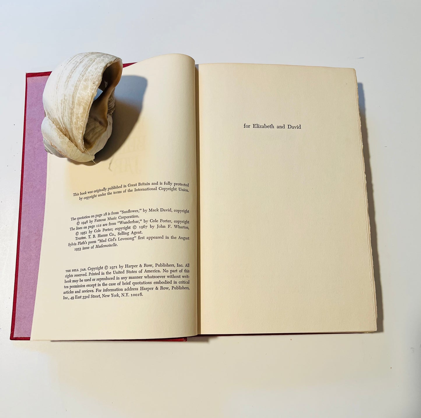 The Bell Jar (sold)