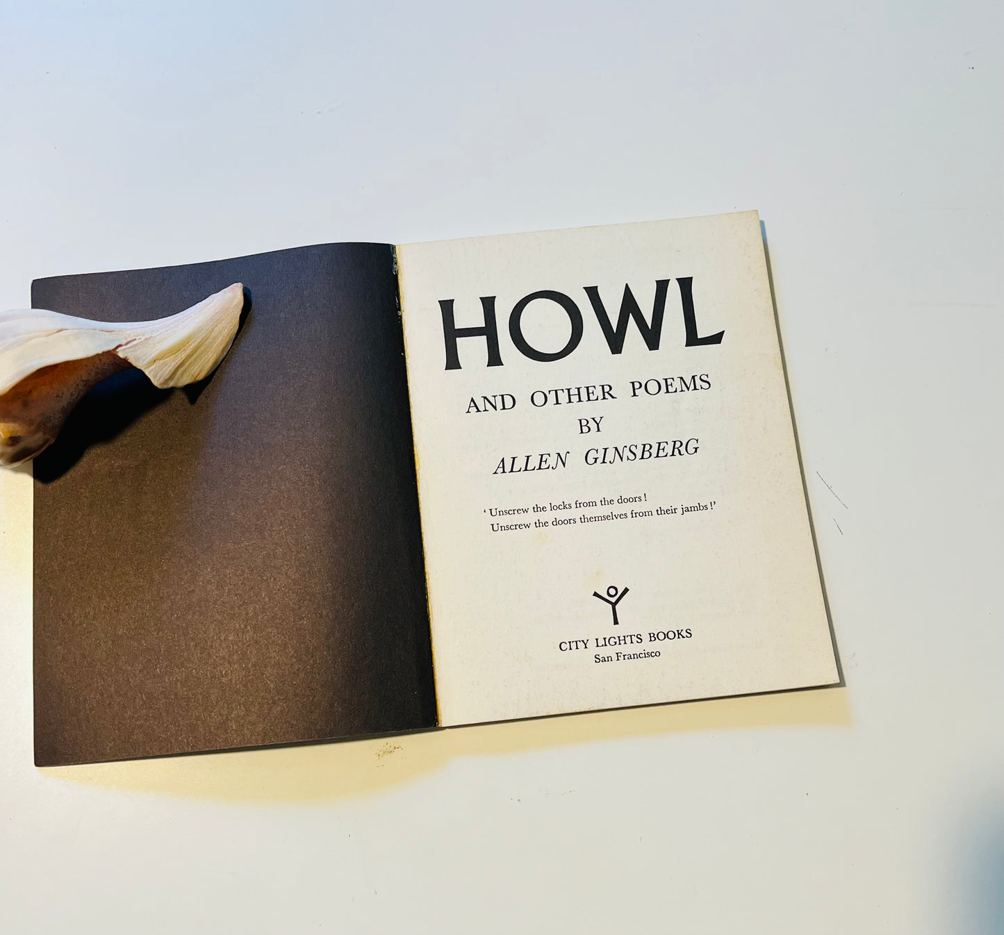 Allen Ginsberg Journals and HOWL