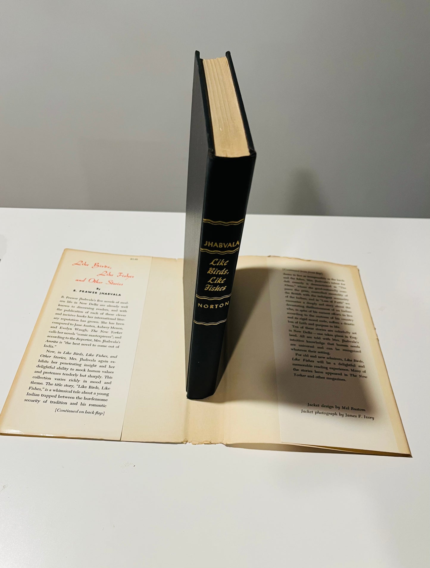 Like Birds, Like Fishes