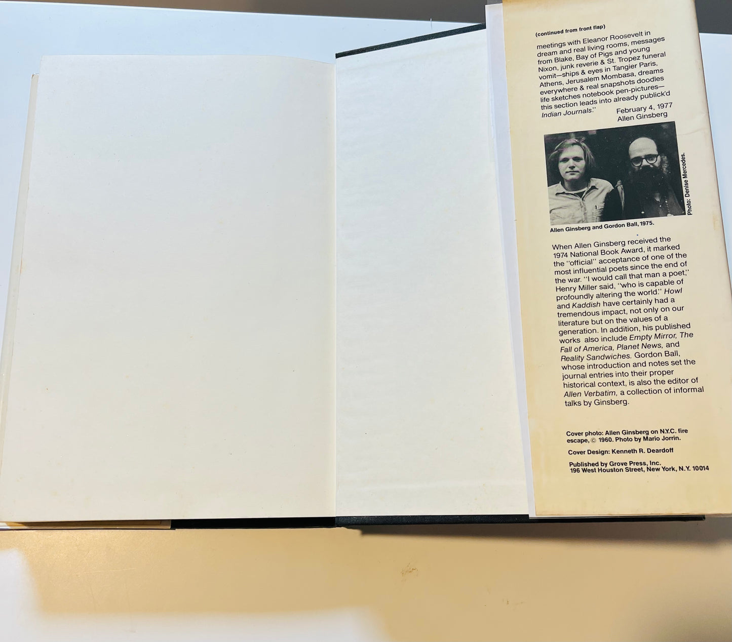 Allen Ginsberg Journals