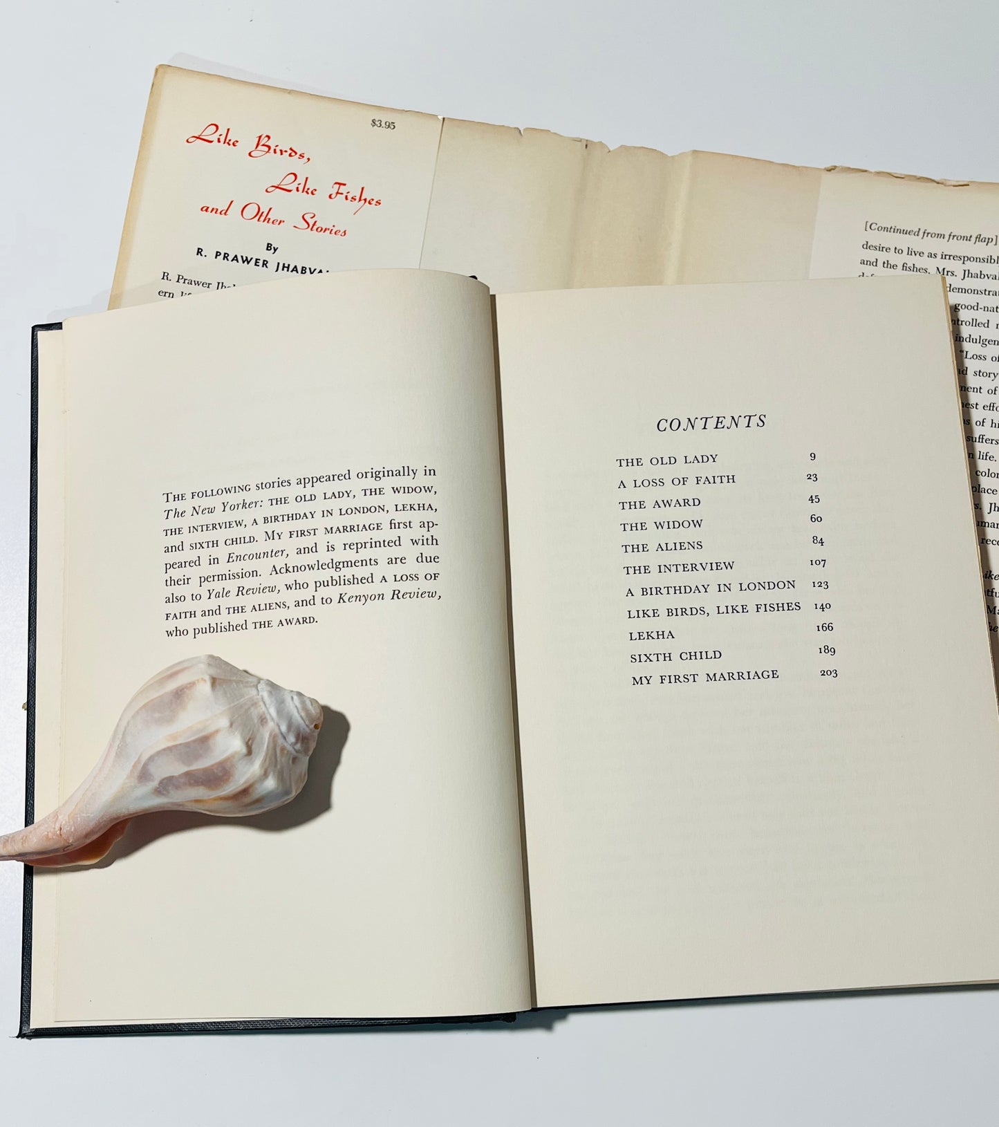 Like Birds, Like Fishes