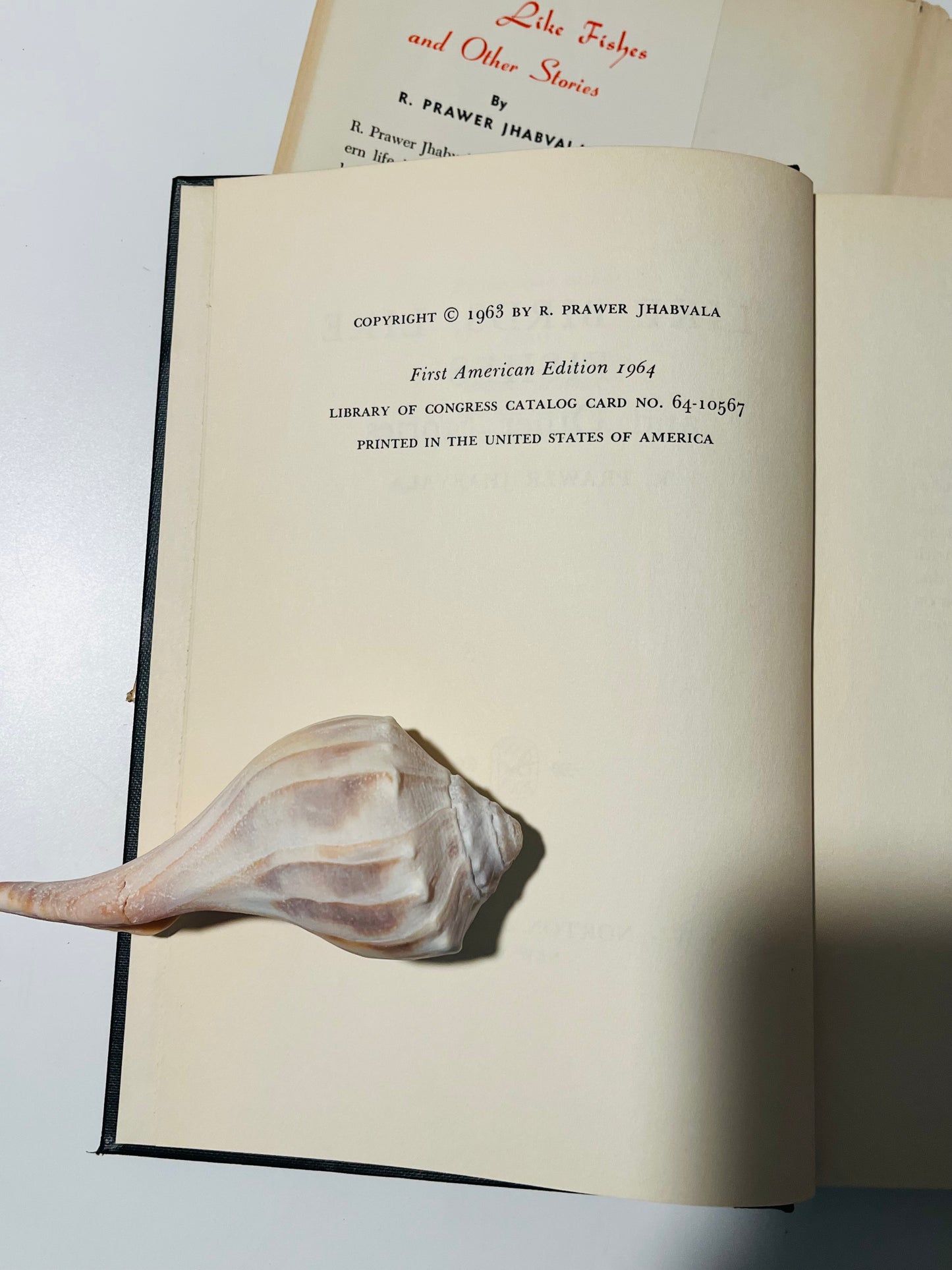 Like Birds, Like Fishes