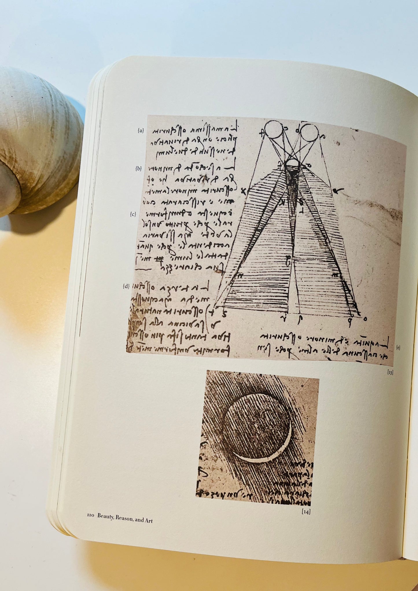 Leonardo's Notebook