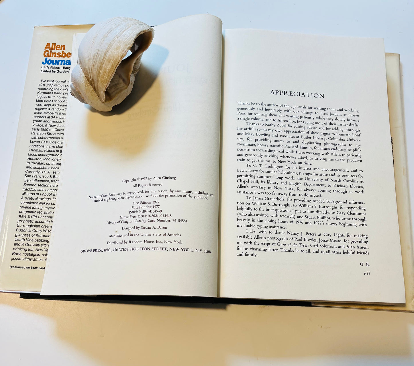 Allen Ginsberg Journals