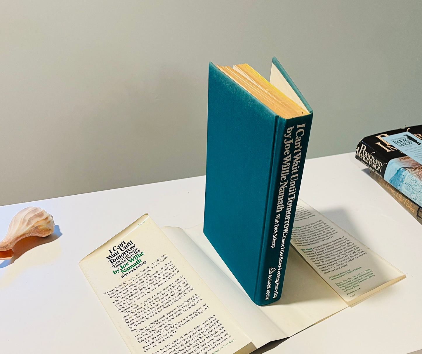 I Can't Wait Until Tomorrow