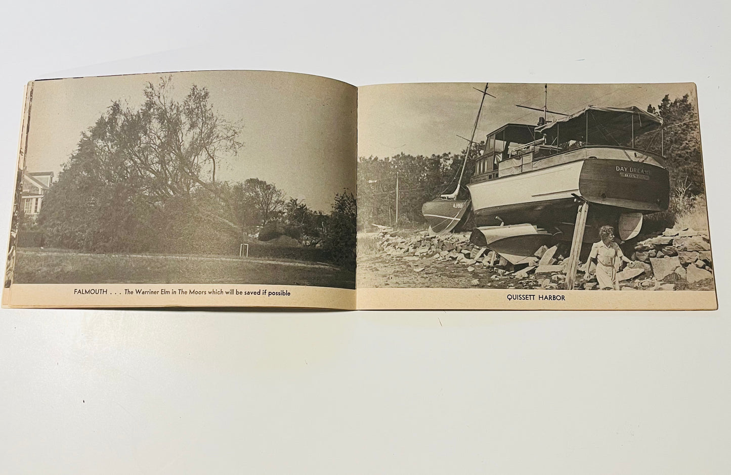 Cape Cod Ephemera
