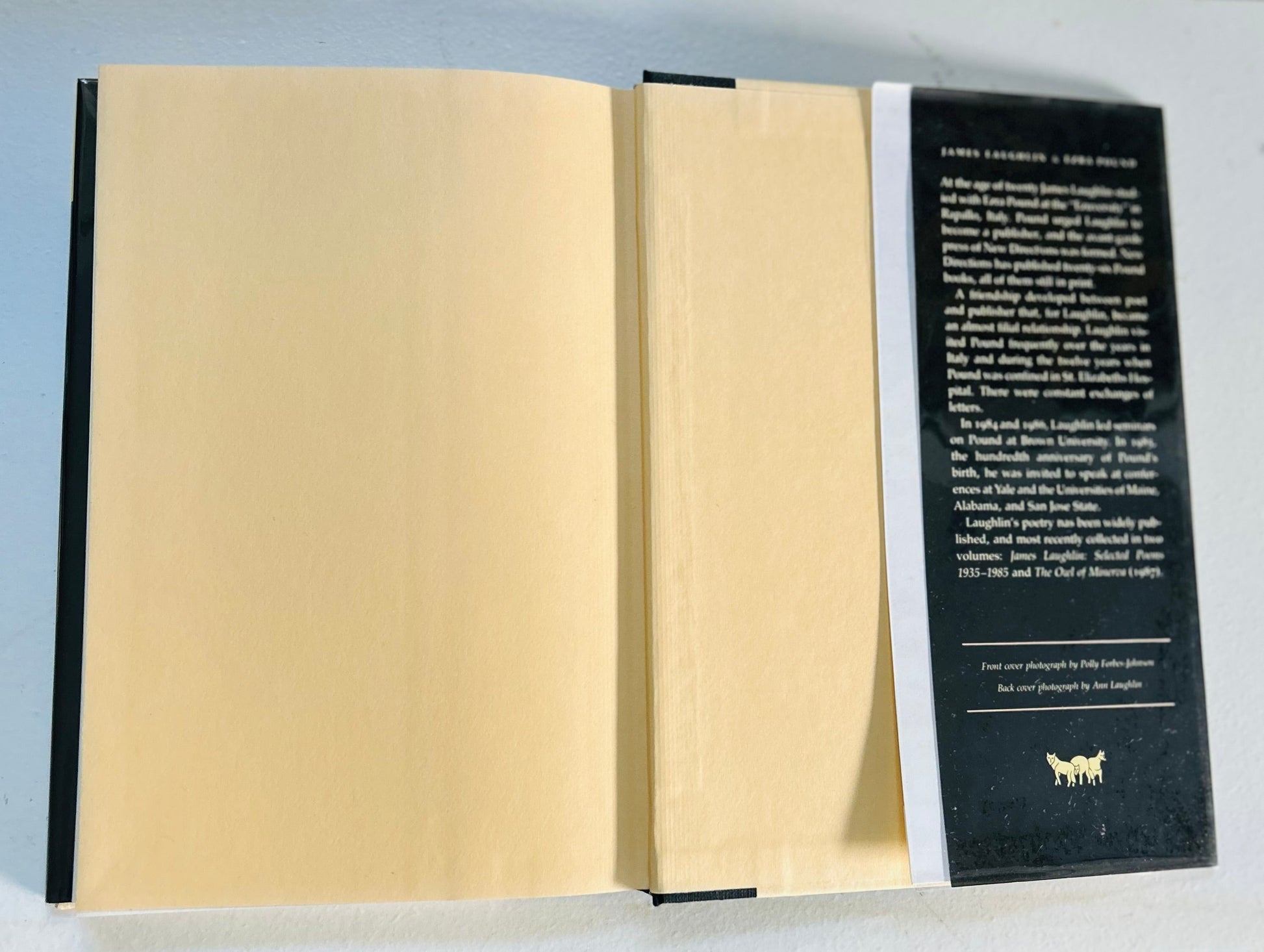 Pound as Wuz: Essays and Lectures on Ezra Pound - Burning Tree Books