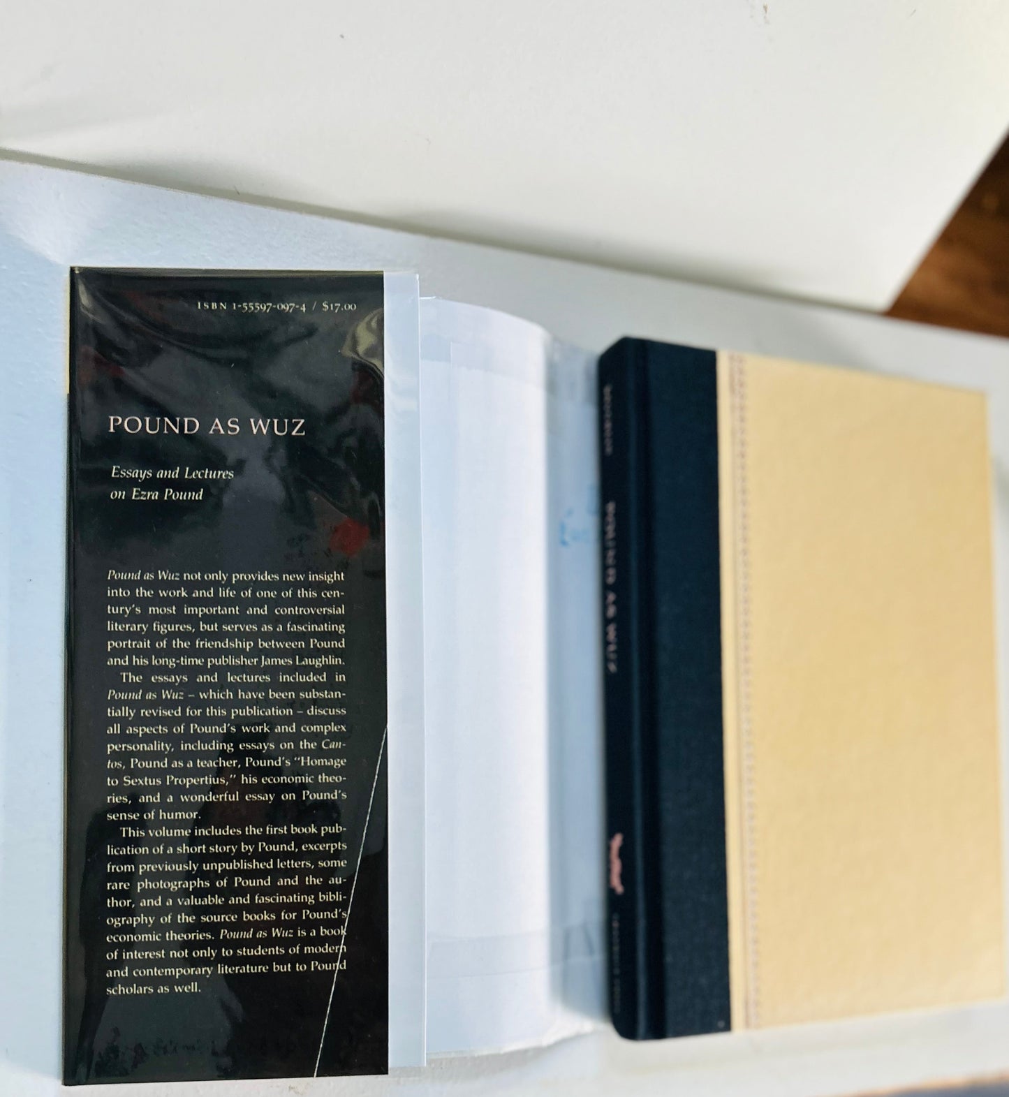 Pound as Wuz: Essays and Lectures on Ezra Pound - Burning Tree Books