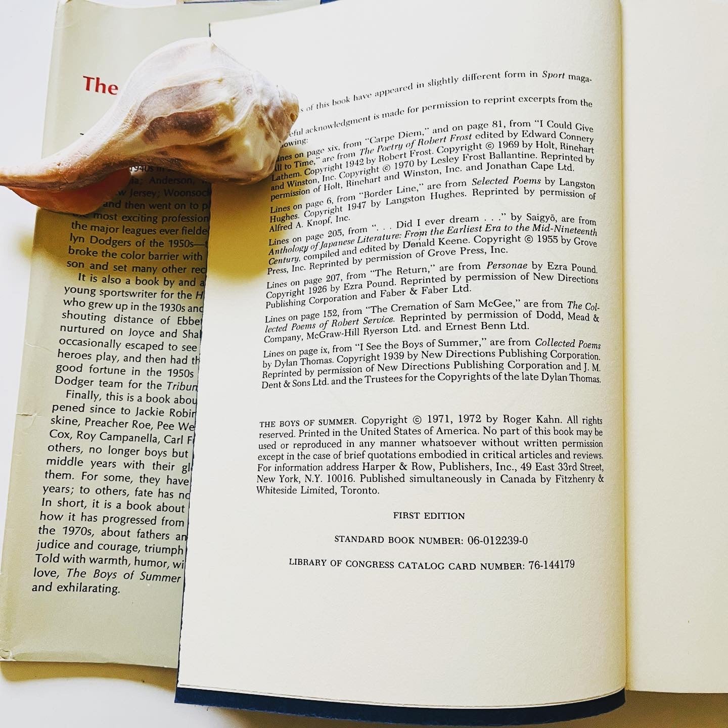 The Boys of Summer - Burning Tree Books