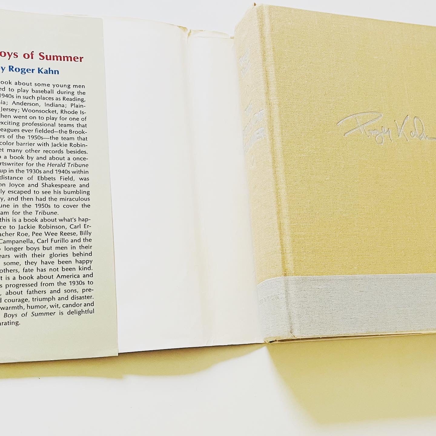 The Boys of Summer - Burning Tree Books