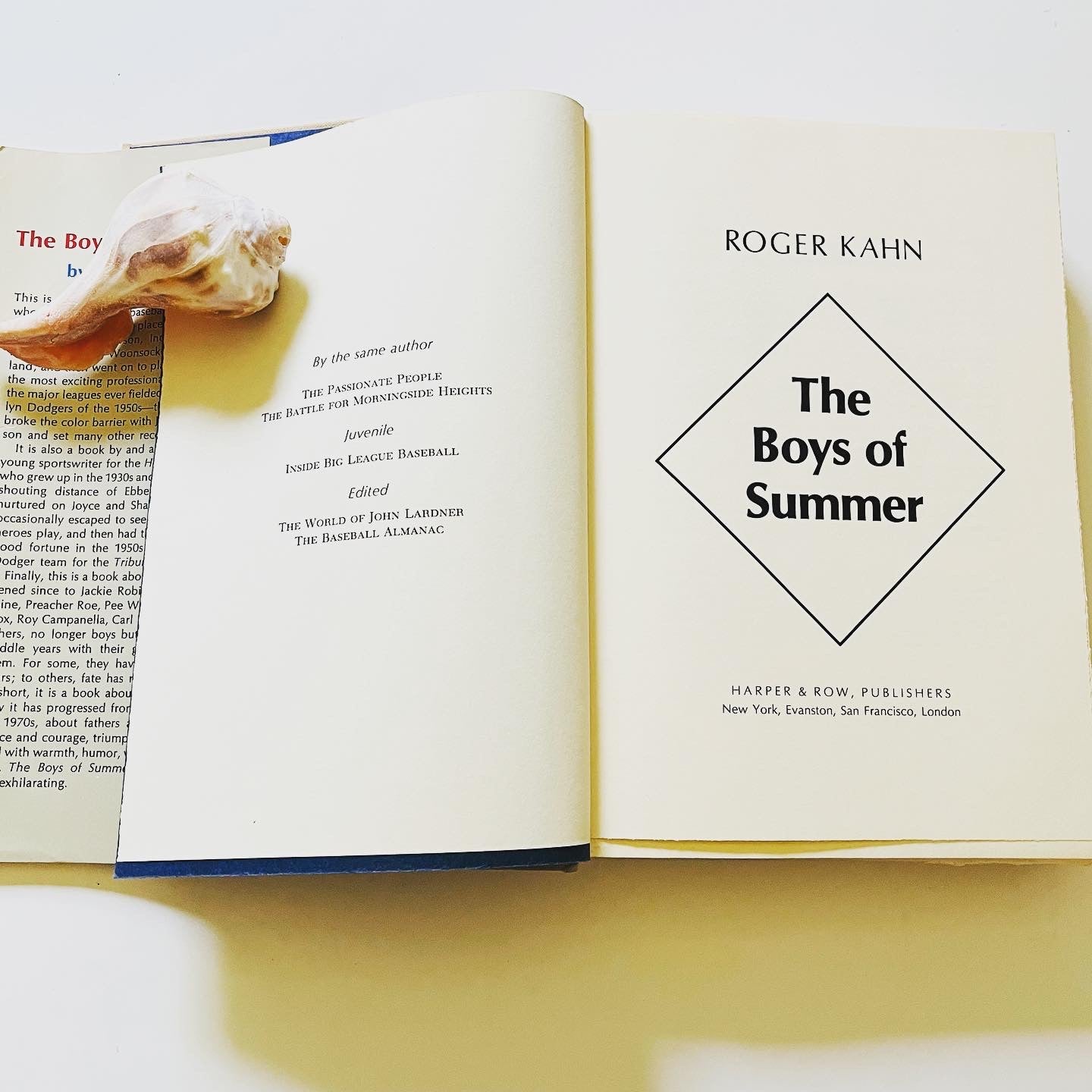 The Boys of Summer - Burning Tree Books