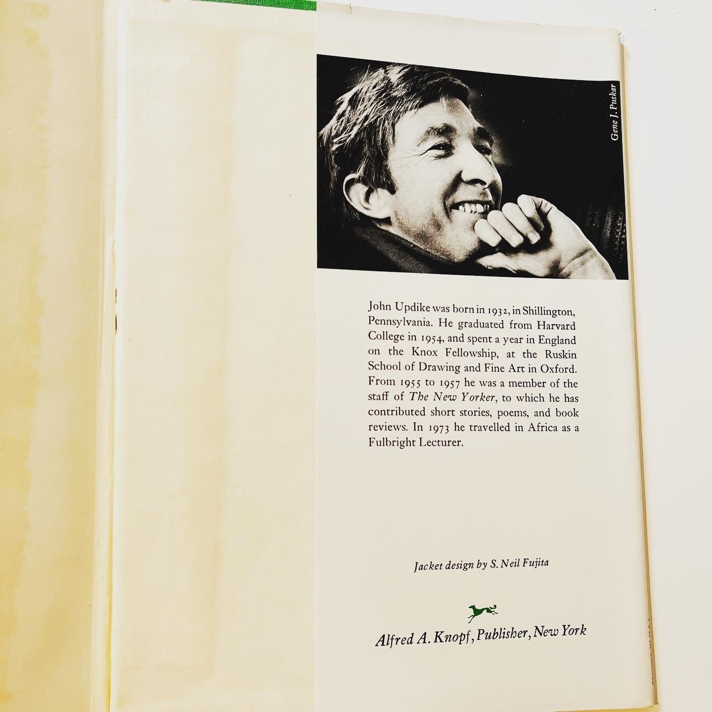 The Coup - Burning Tree Books