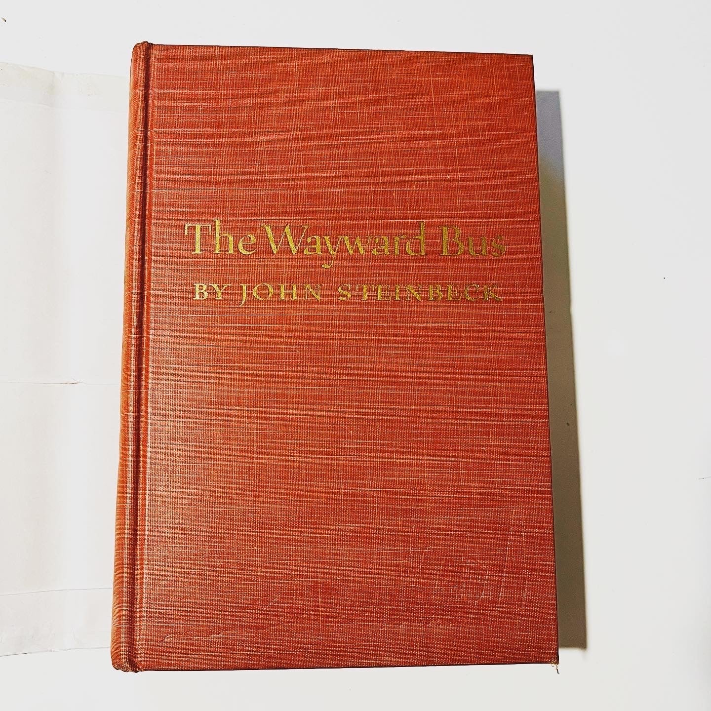 The Wayward Bus - Burning Tree Books