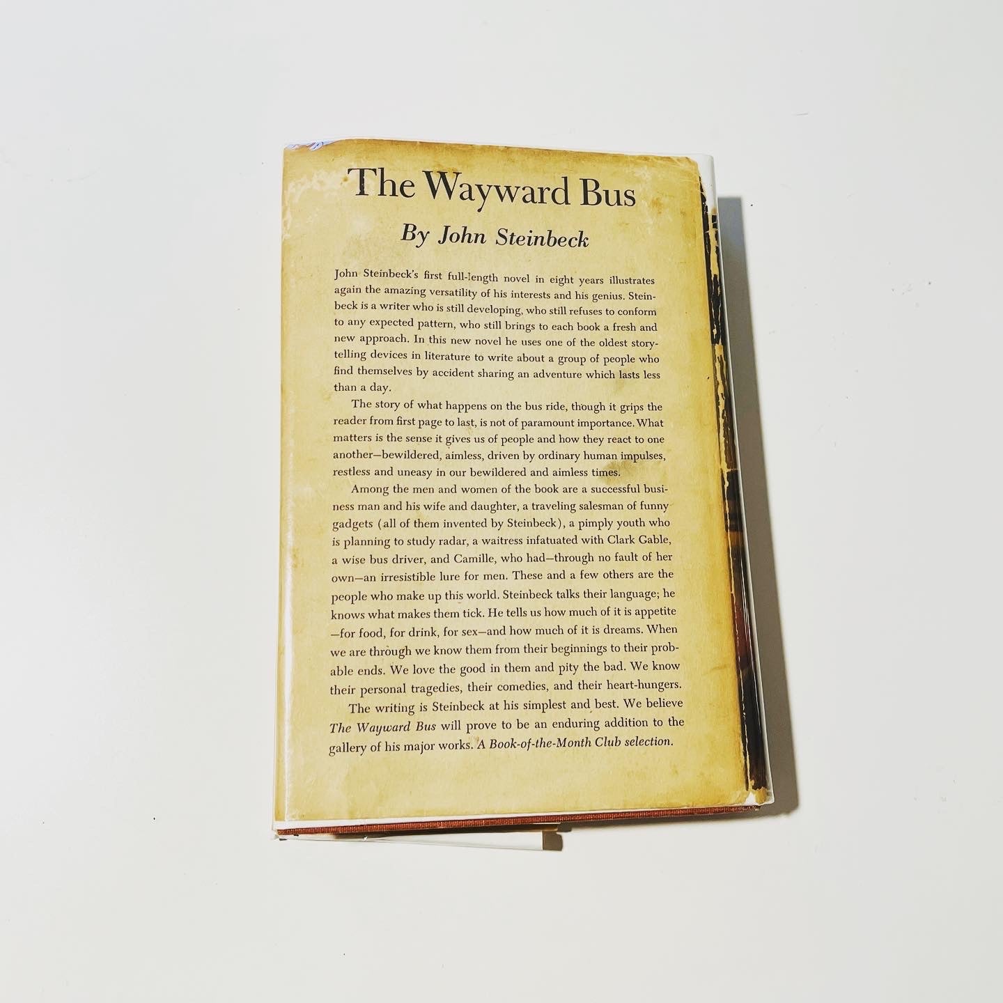 The Wayward Bus - Burning Tree Books