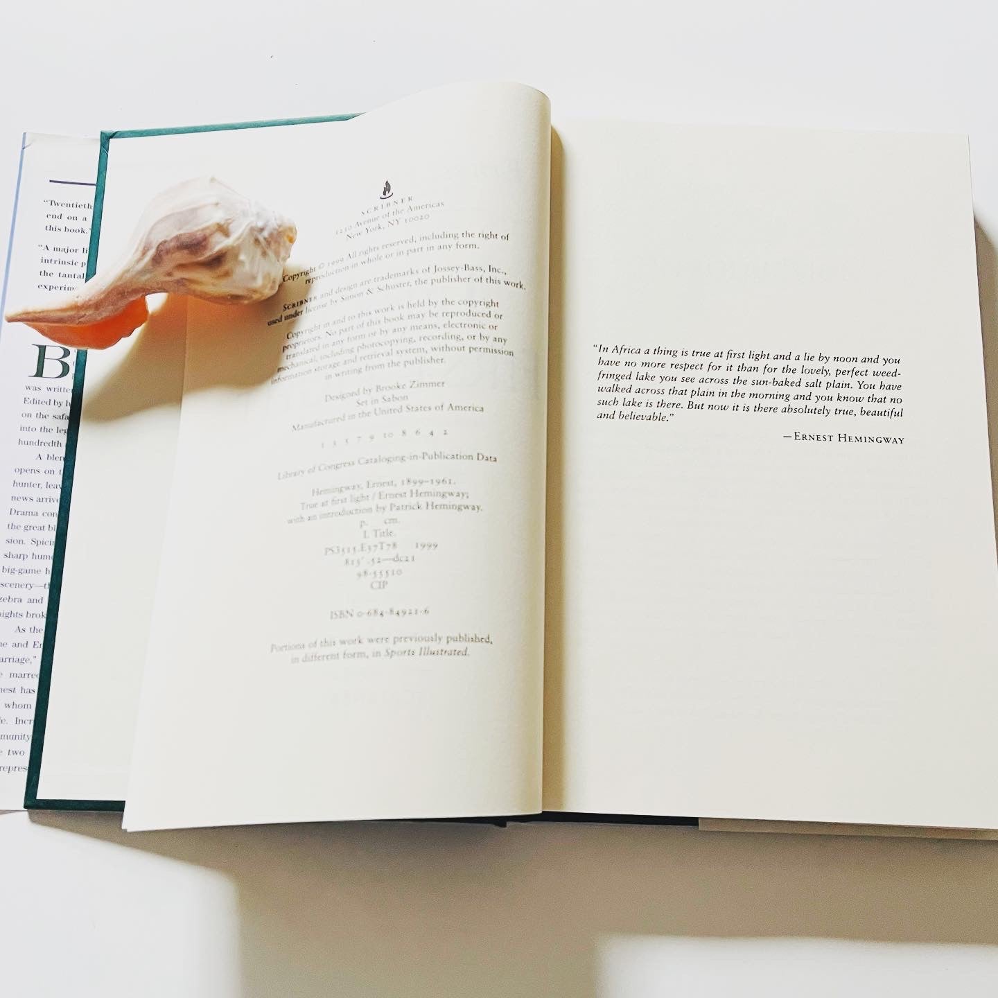 True at First Light - Burning Tree Books