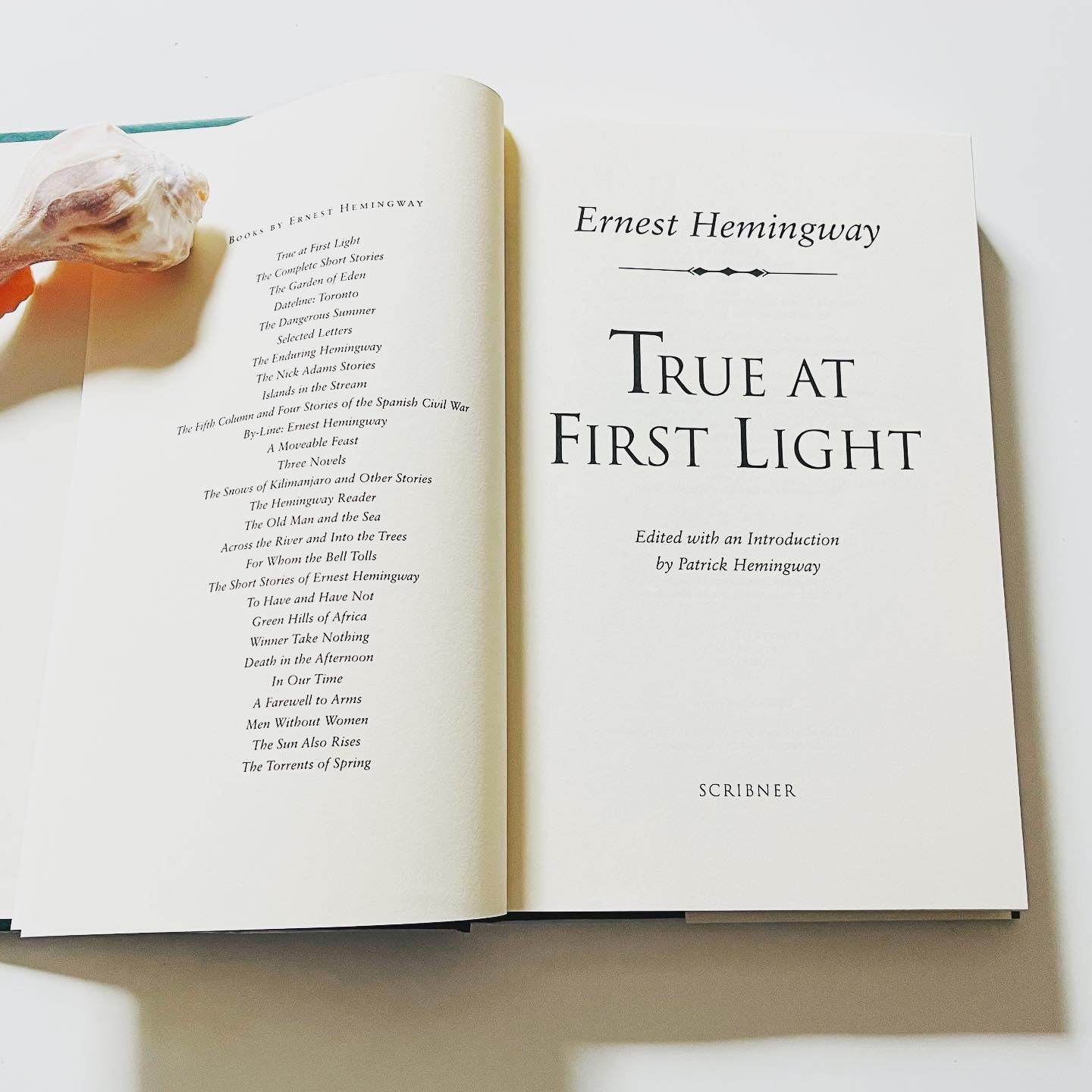 True at First Light - Burning Tree Books