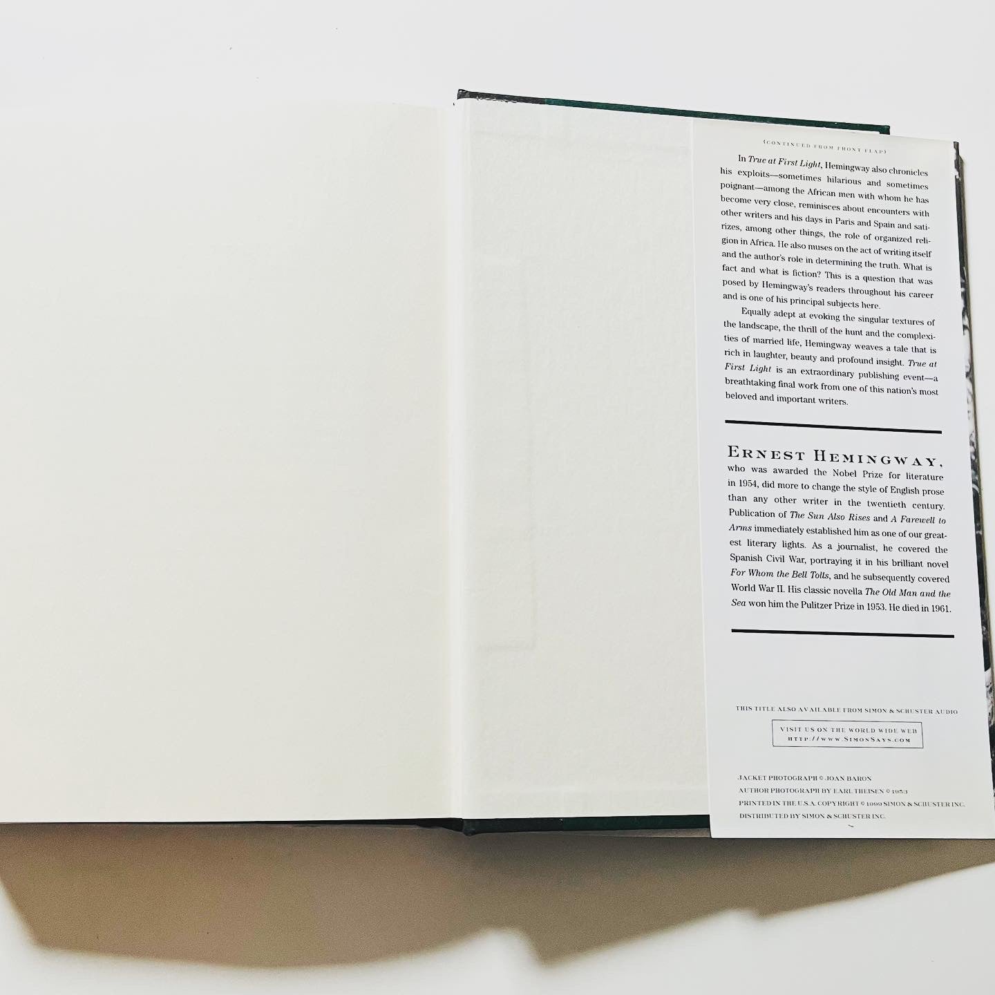 True at First Light - Burning Tree Books