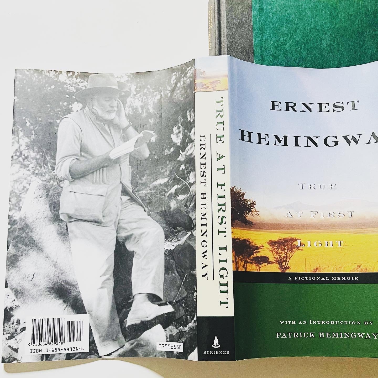 True at First Light - Burning Tree Books