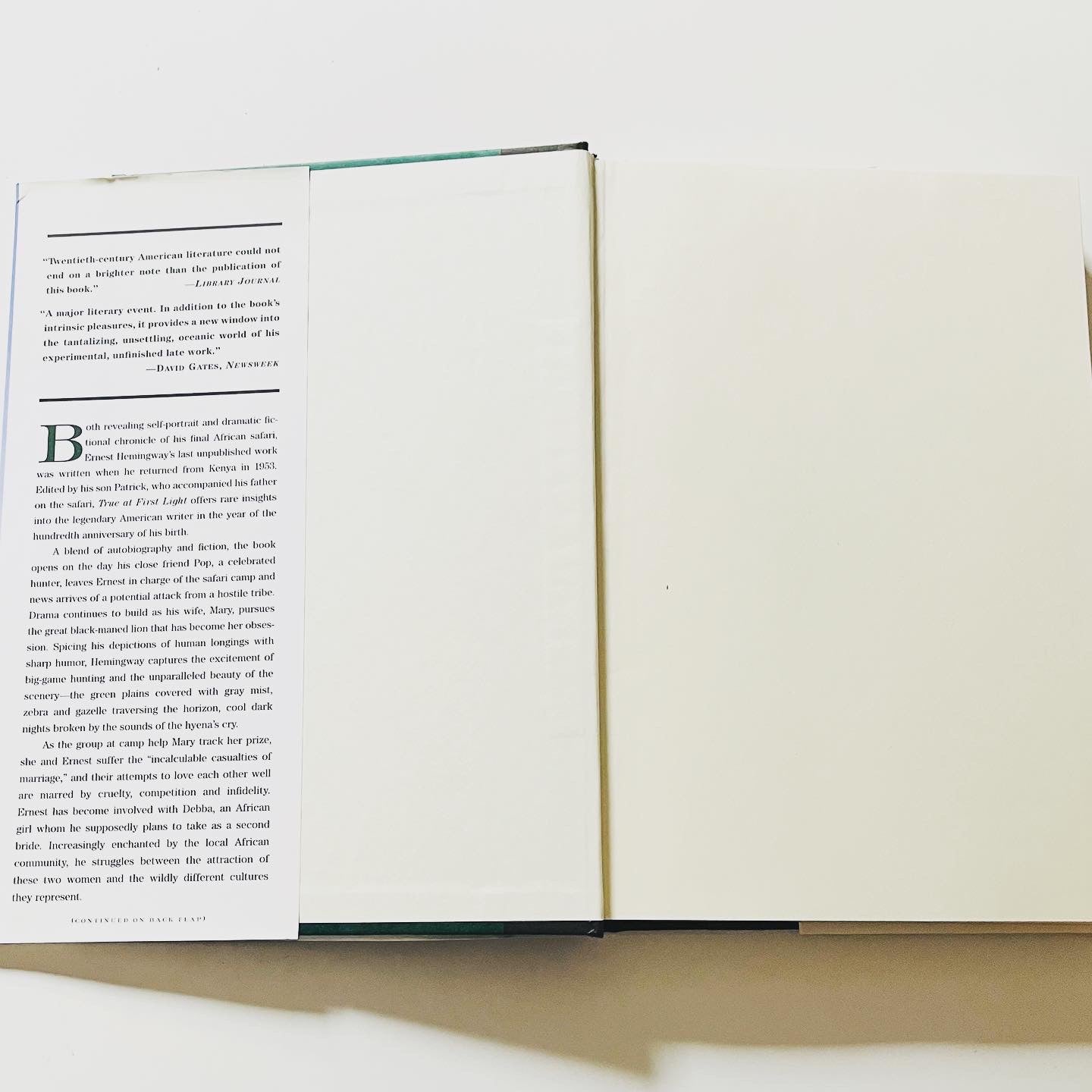True at First Light - Burning Tree Books