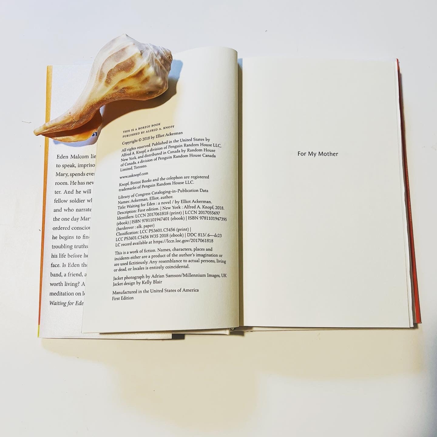 Waiting for Eden - Burning Tree Books